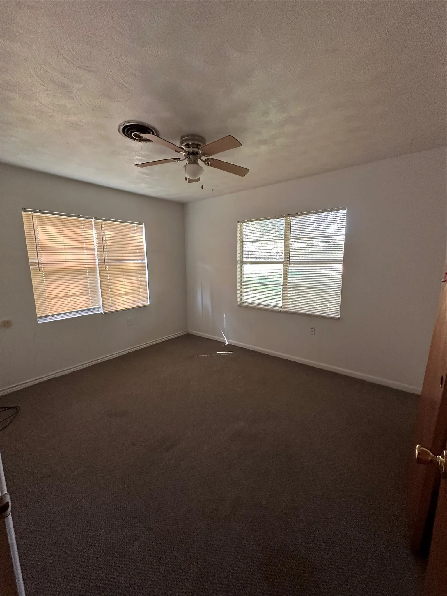 Brown carpeted flooring, light-toned walls, and multiple windows with blinds