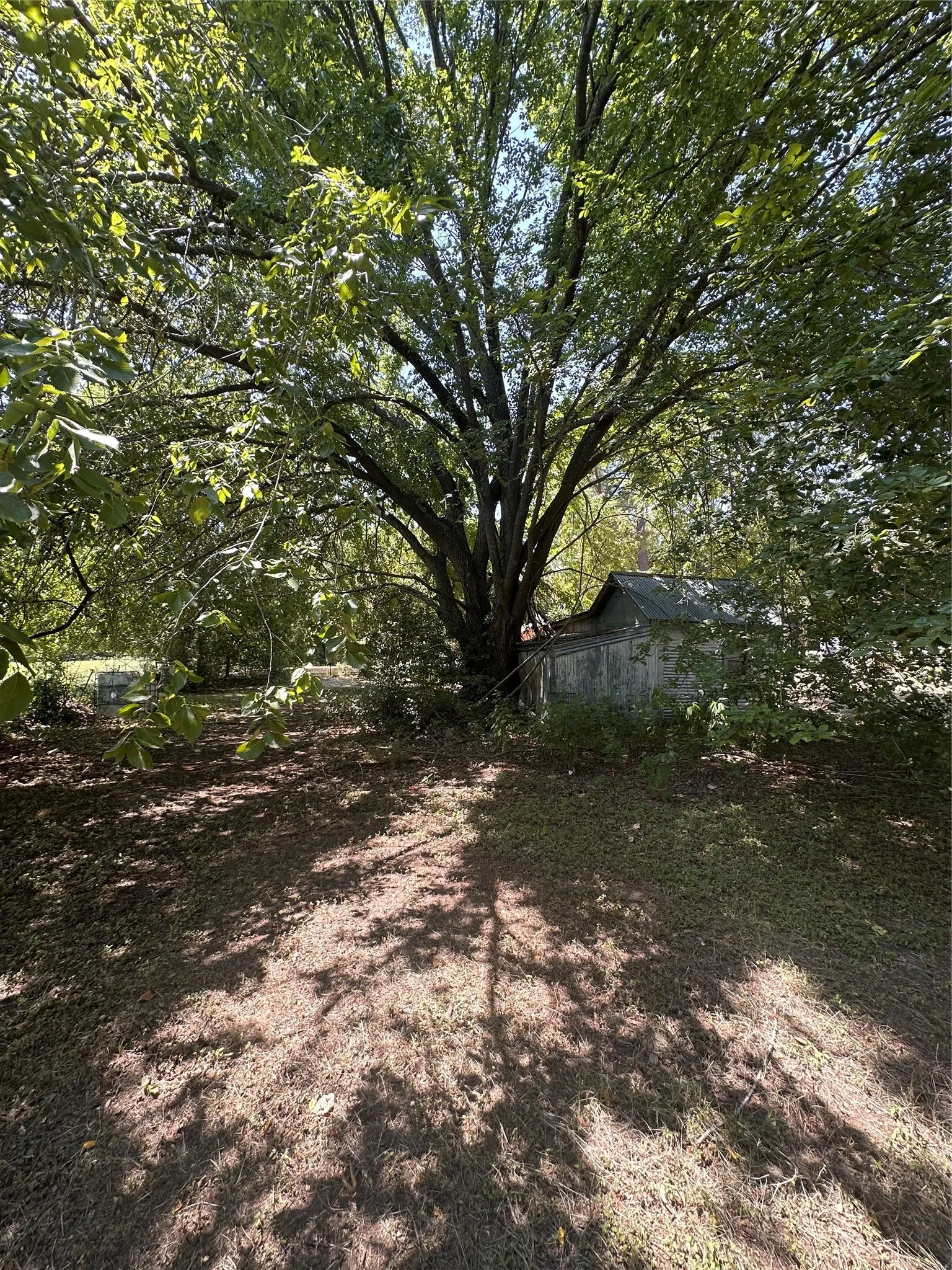 Expansive grounds featuring a mature shade tree, detached outbuilding