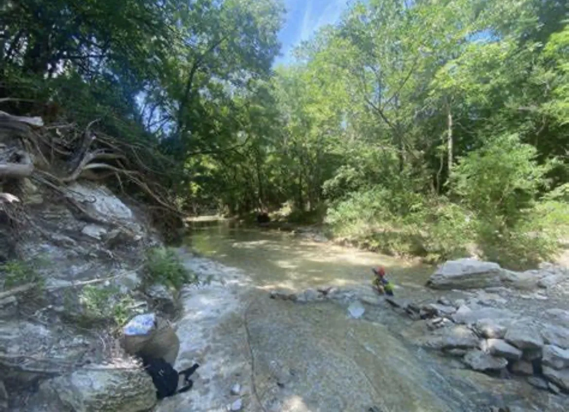 Neighborhood Creek