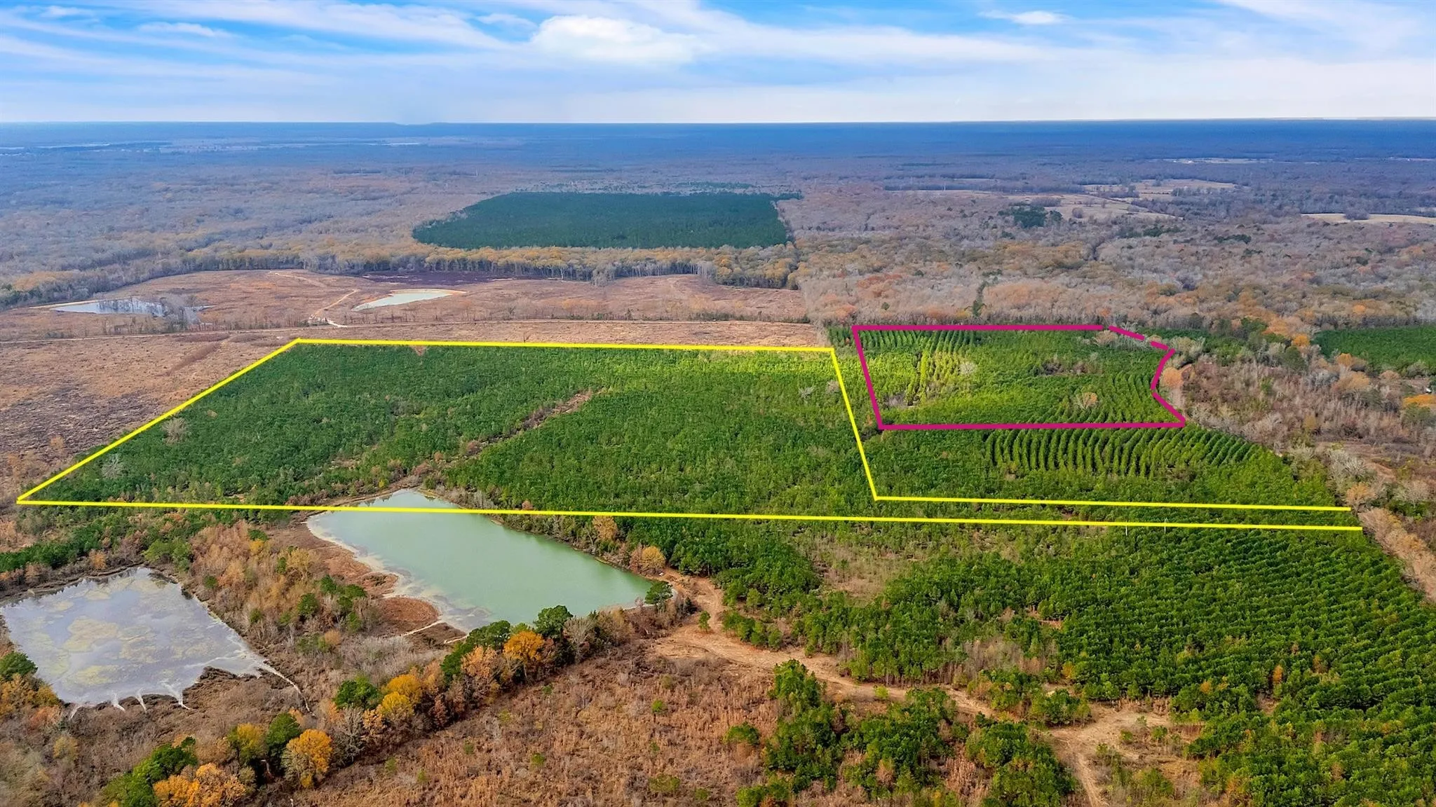 PINK INDICATES APPROX BOUNDARY LINES