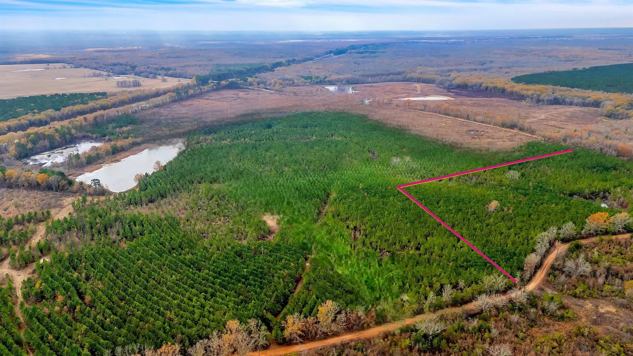 Unimproved Land For Sale in Bowie County , TBD Cr-4308, De Kalb, Texas 75559, 0, 0, Garage spaces, 0 Sqft, built in 0, mls#21369654, Real Estate Agent in De Kalb, Homes For Sale in Bowie county, Homes For Sale in De Kalb, Realtor in De Kalb Texas, Real Estate Brokerage Independent Realty Texas, Luminita Cordes Realtor