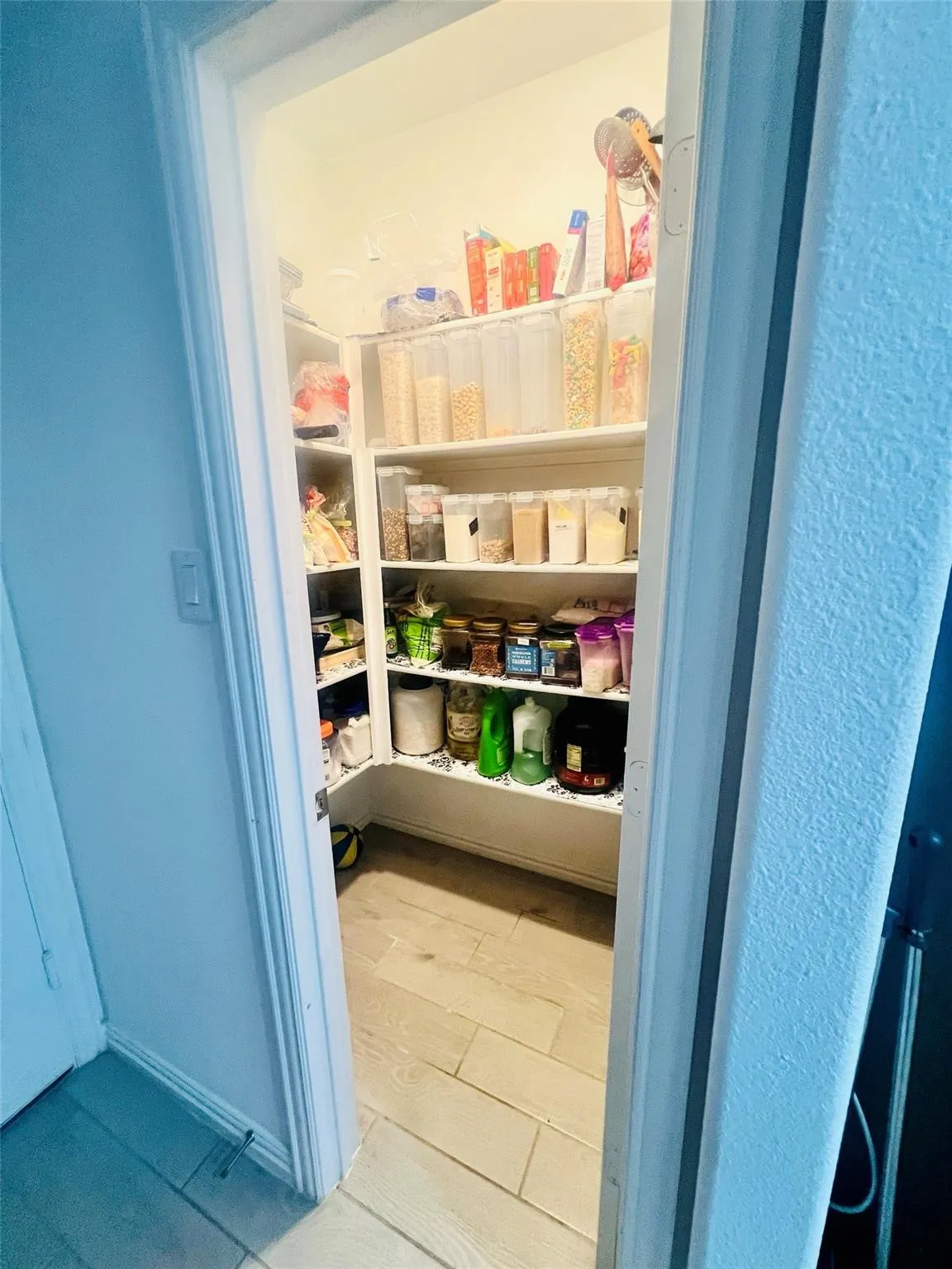 Pantry with multiple built-in shelves and light wood-finish flooring
