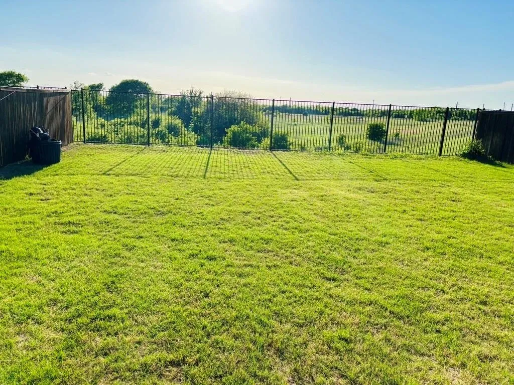 Expansive lawn with a black metal fence and privacy fencing