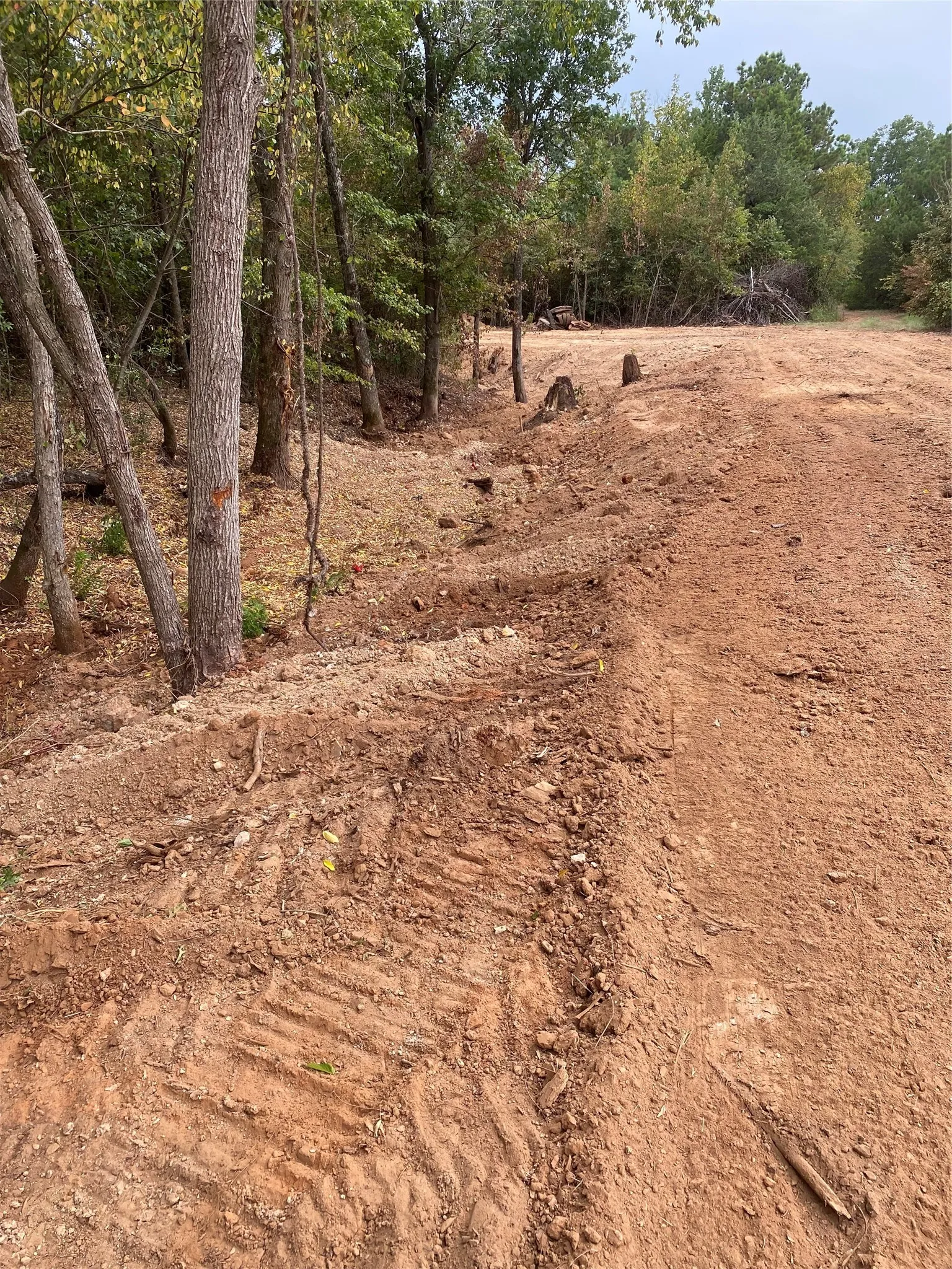 Unimproved Land For Sale in Smith County , TBD Cr-335, Tyler, Texas 75708, 0, 0, Garage spaces, 0 Sqft, built in 0, mls#21369697, Real Estate Agent in Tyler, Homes For Sale in Smith county, Homes For Sale in Tyler, Realtor in Tyler Texas, Real Estate Brokerage Independent Realty Texas, Luminita Cordes Realtor