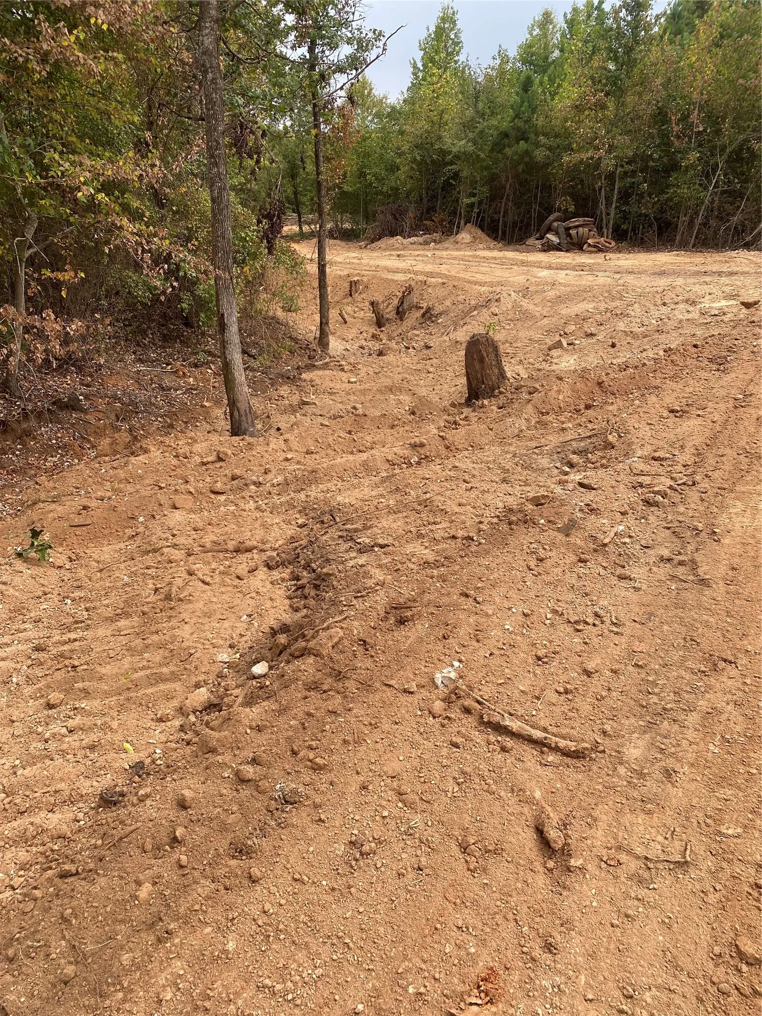 Acreage in back