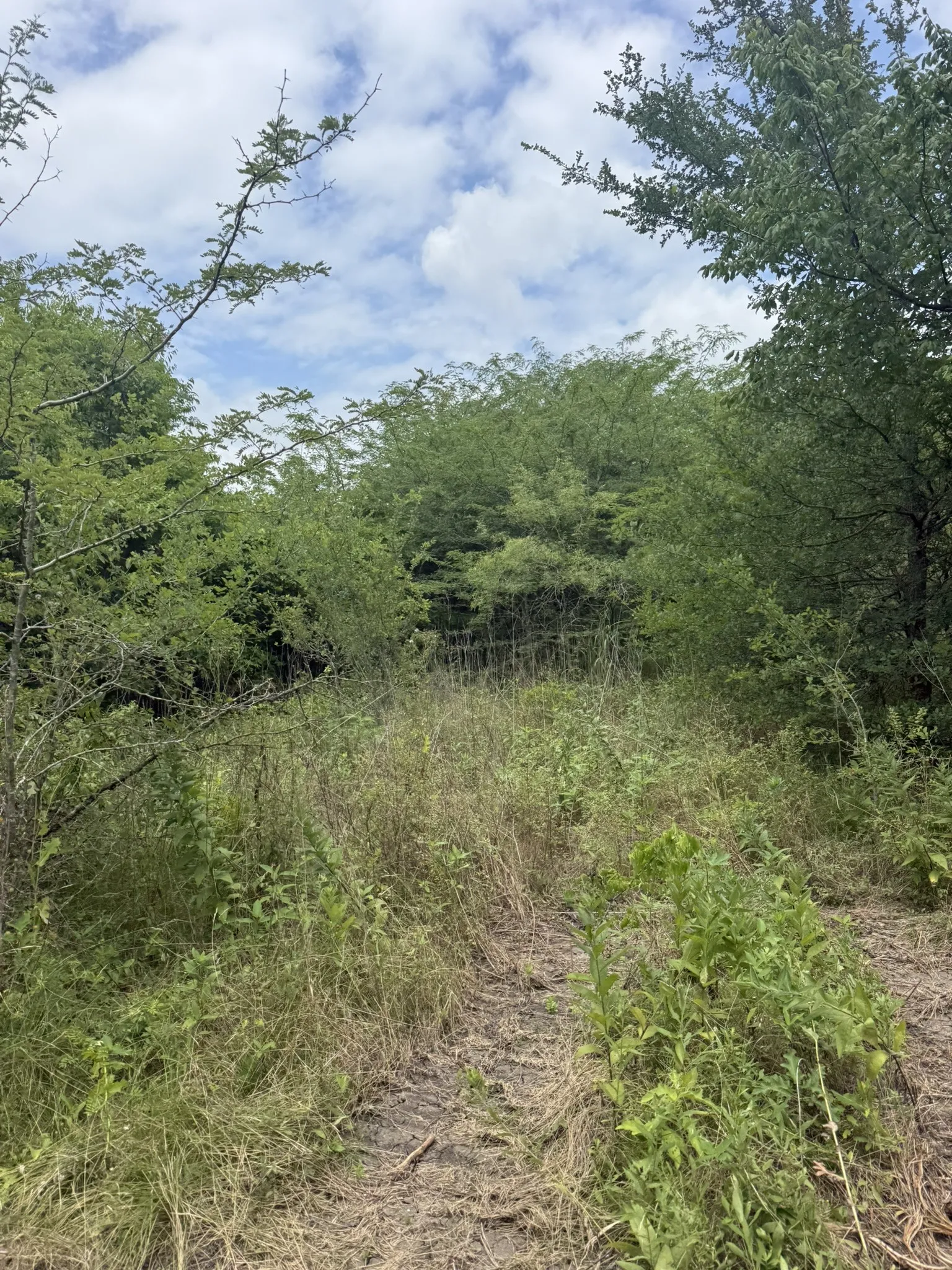Unimproved Land For Sale in Ellis County , TBD 10 Mc Knight, Ferris, Texas 75125, 0, 0, Garage spaces, 0 Sqft, built in 0, mls#21369708, Real Estate Agent in Ferris, Homes For Sale in Ellis county, Homes For Sale in Ferris, Realtor in Ferris Texas, Real Estate Brokerage Independent Realty Texas, Luminita Cordes Realtor