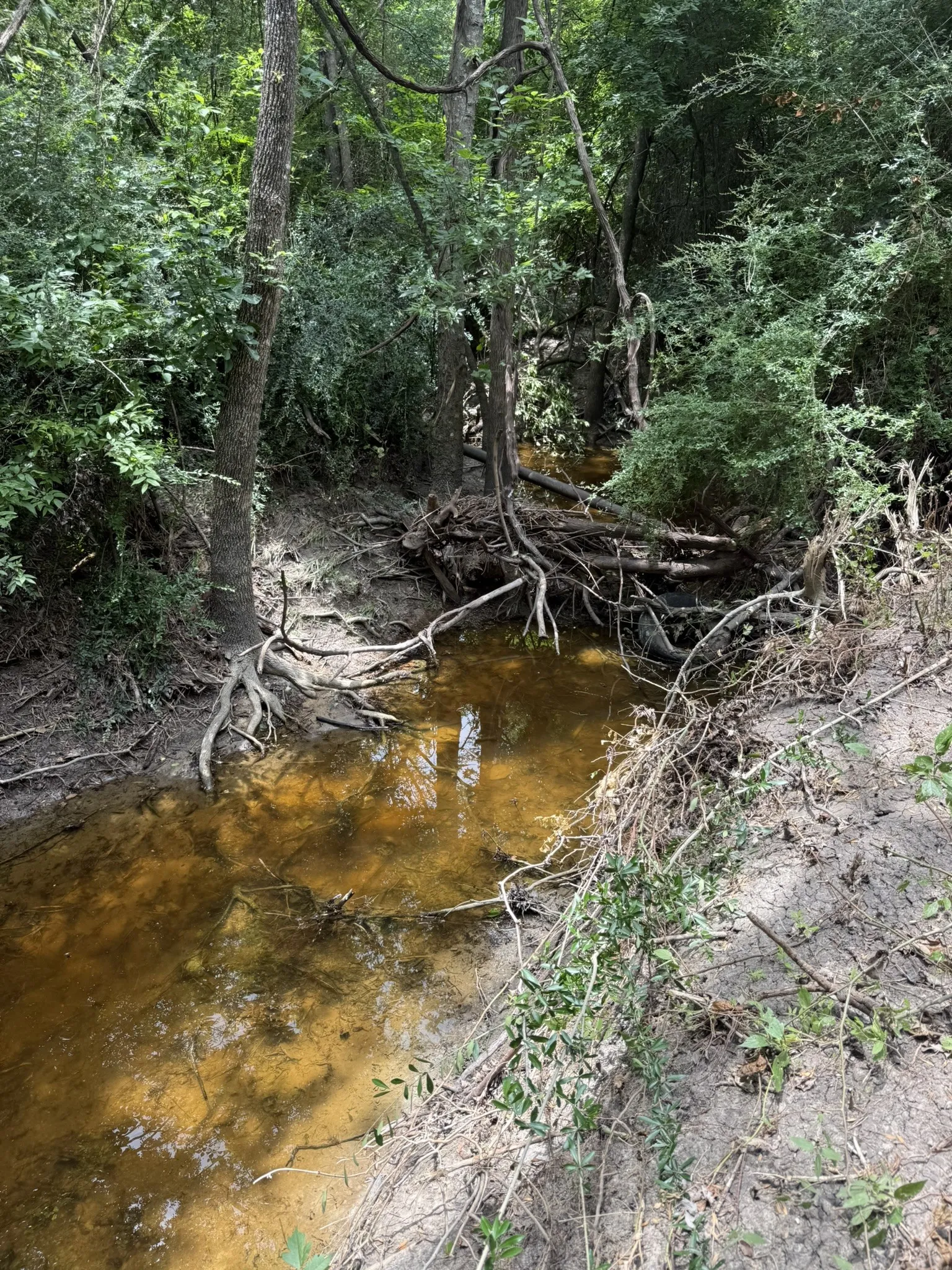 Unimproved Land For Sale in Ellis County , TBD 10 Mc Knight, Ferris, Texas 75125, 0, 0, Garage spaces, 0 Sqft, built in 0, mls#21369708, Real Estate Agent in Ferris, Homes For Sale in Ellis county, Homes For Sale in Ferris, Realtor in Ferris Texas, Real Estate Brokerage Independent Realty Texas, Luminita Cordes Realtor