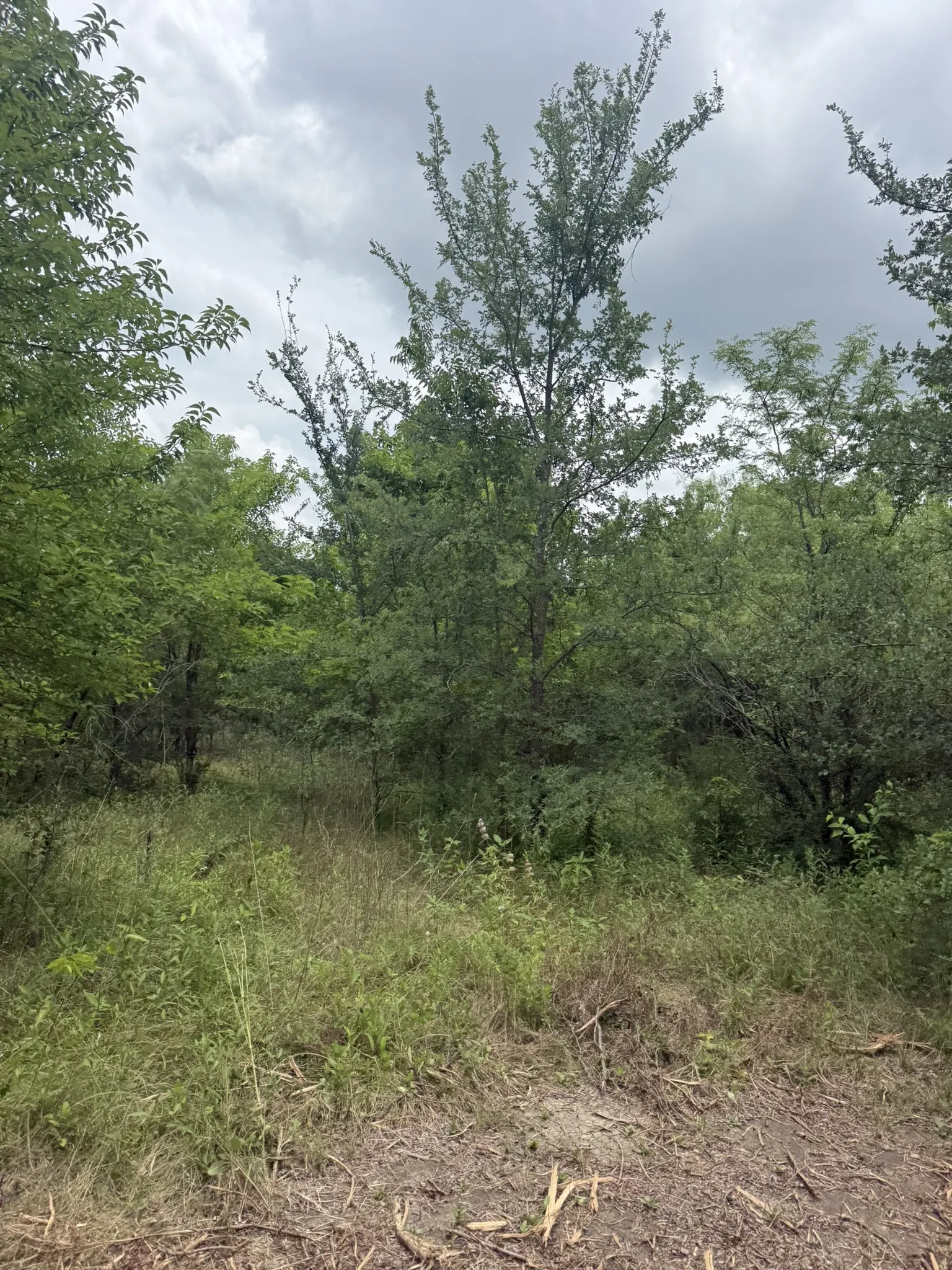 Unimproved Land For Sale in Ellis County , TBD 10 Mc Knight, Ferris, Texas 75125, 0, 0, Garage spaces, 0 Sqft, built in 0, mls#21369708, Real Estate Agent in Ferris, Homes For Sale in Ellis county, Homes For Sale in Ferris, Realtor in Ferris Texas, Real Estate Brokerage Independent Realty Texas, Luminita Cordes Realtor