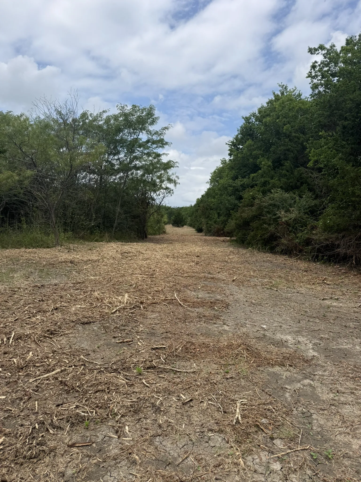 Unimproved Land For Sale in Ellis County , TBD 10 Mc Knight, Ferris, Texas 75125, 0, 0, Garage spaces, 0 Sqft, built in 0, mls#21369708, Real Estate Agent in Ferris, Homes For Sale in Ellis county, Homes For Sale in Ferris, Realtor in Ferris Texas, Real Estate Brokerage Independent Realty Texas, Luminita Cordes Realtor