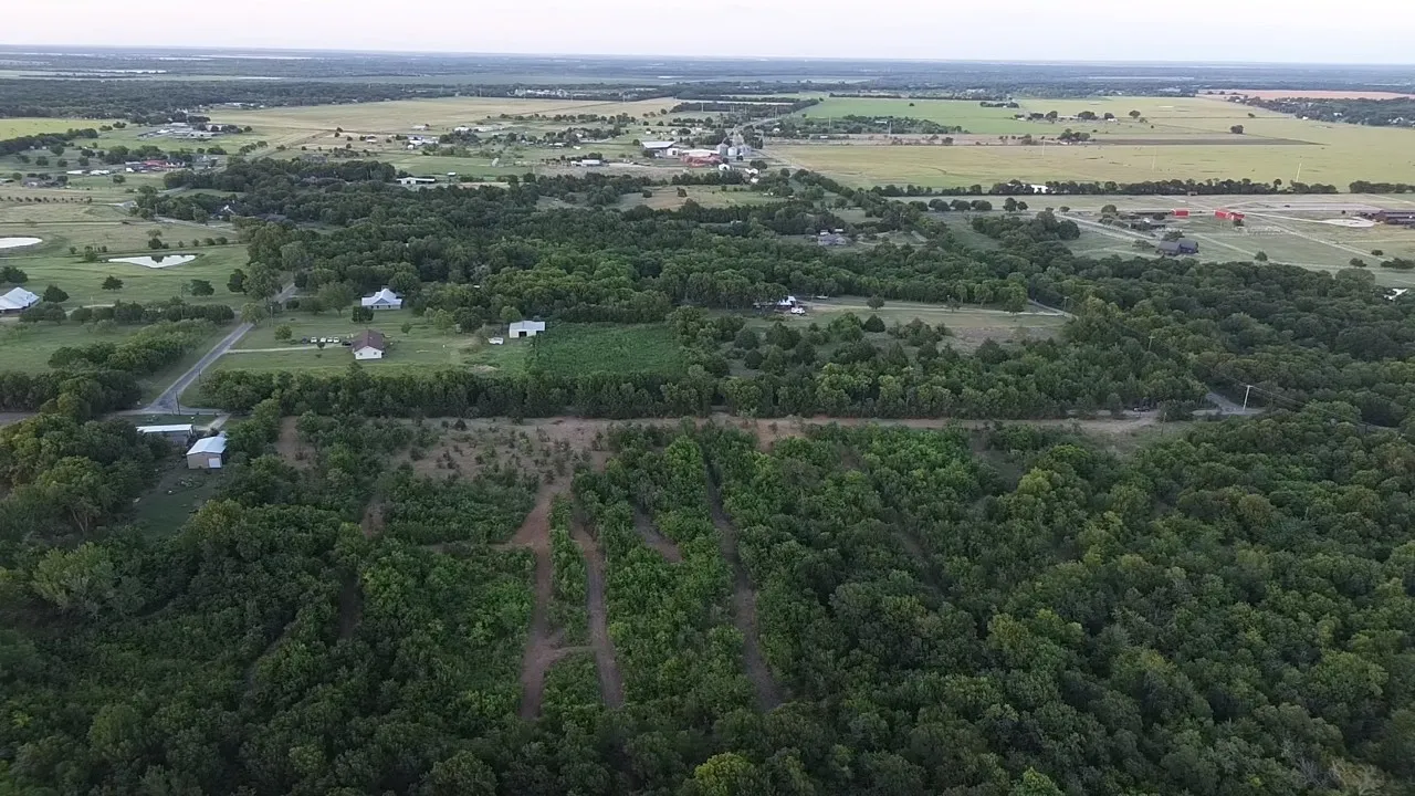 Unimproved Land For Sale in Ellis County , TBD 10 Mc Knight, Ferris, Texas 75125, 0, 0, Garage spaces, 0 Sqft, built in 0, mls#21369708, Real Estate Agent in Ferris, Homes For Sale in Ellis county, Homes For Sale in Ferris, Realtor in Ferris Texas, Real Estate Brokerage Independent Realty Texas, Luminita Cordes Realtor