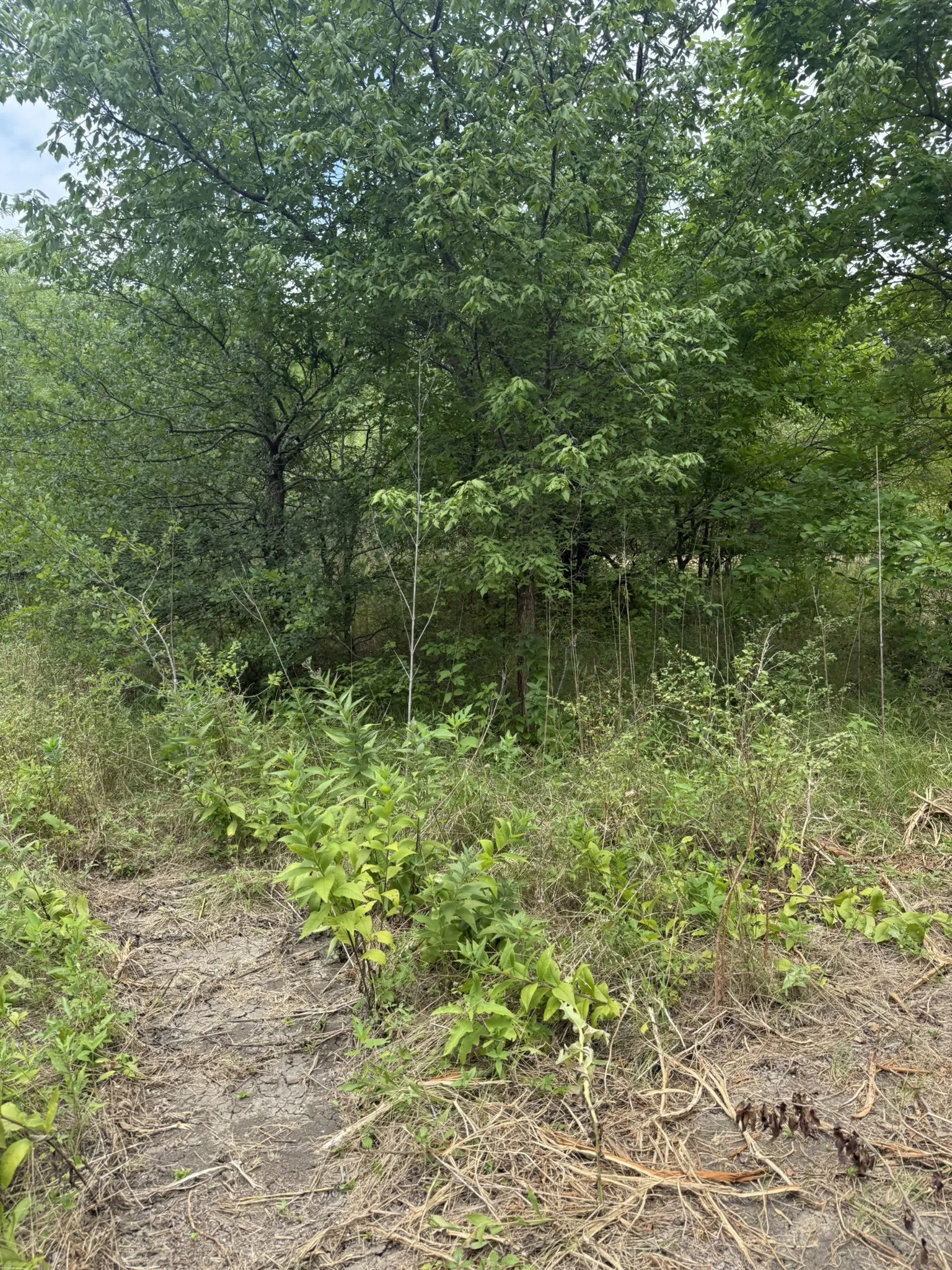 Unimproved Land For Sale in Ellis County , TBD 10 Mc Knight, Ferris, Texas 75125, 0, 0, Garage spaces, 0 Sqft, built in 0, mls#21369708, Real Estate Agent in Ferris, Homes For Sale in Ellis county, Homes For Sale in Ferris, Realtor in Ferris Texas, Real Estate Brokerage Independent Realty Texas, Luminita Cordes Realtor