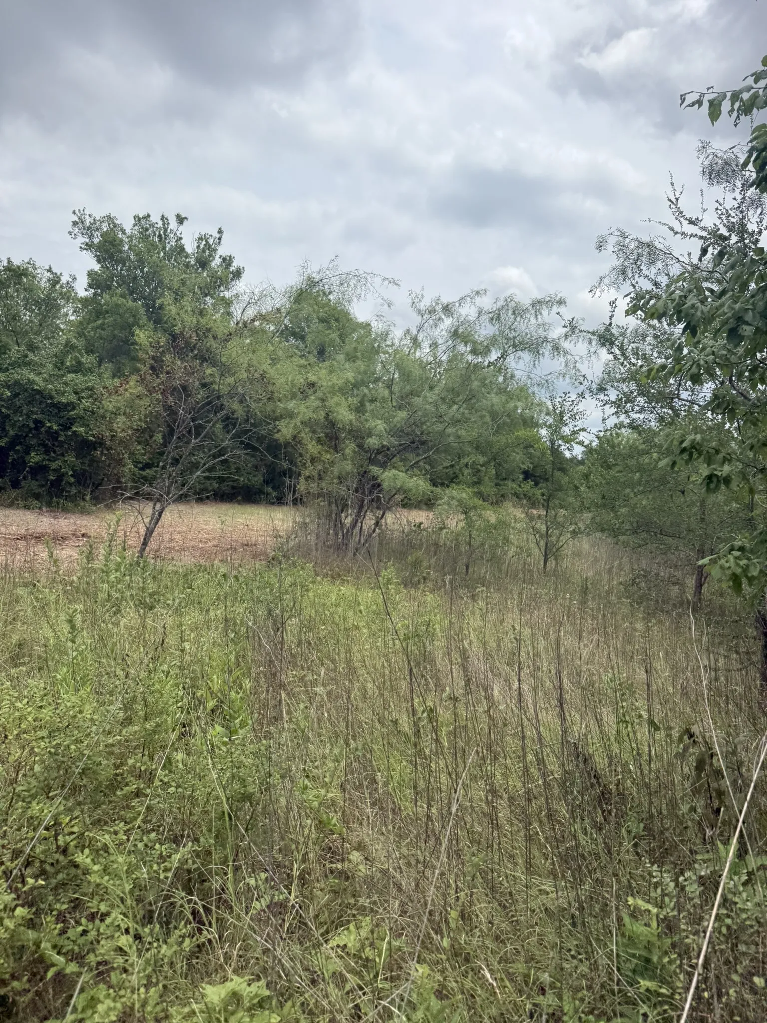 Unimproved Land For Sale in Ellis County , TBD 10 Mc Knight, Ferris, Texas 75125, 0, 0, Garage spaces, 0 Sqft, built in 0, mls#21369708, Real Estate Agent in Ferris, Homes For Sale in Ellis county, Homes For Sale in Ferris, Realtor in Ferris Texas, Real Estate Brokerage Independent Realty Texas, Luminita Cordes Realtor