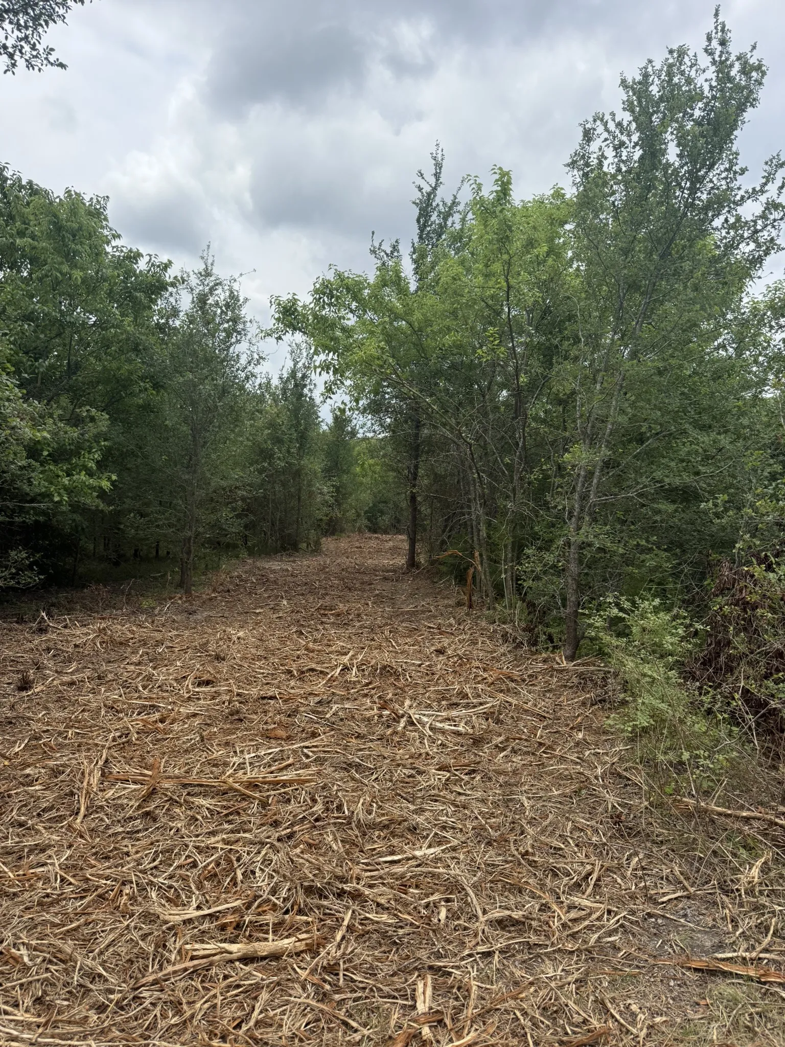 Unimproved Land For Sale in Ellis County , TBD 10 Mc Knight, Ferris, Texas 75125, 0, 0, Garage spaces, 0 Sqft, built in 0, mls#21369708, Real Estate Agent in Ferris, Homes For Sale in Ellis county, Homes For Sale in Ferris, Realtor in Ferris Texas, Real Estate Brokerage Independent Realty Texas, Luminita Cordes Realtor