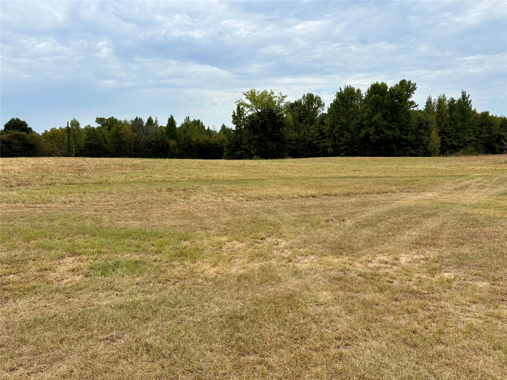 Improved Land For Sale in Hopkins County , 14372 Farm Road 269 S, Pickton, Texas 75471, 0, 0, Garage spaces, 0 Sqft, built in 2024, mls#21353578, Real Estate Agent in Pickton, Homes For Sale in Hopkins county, Homes For Sale in Pickton, Realtor in Pickton Texas, Real Estate Brokerage Independent Realty Texas, Luminita Cordes Realtor