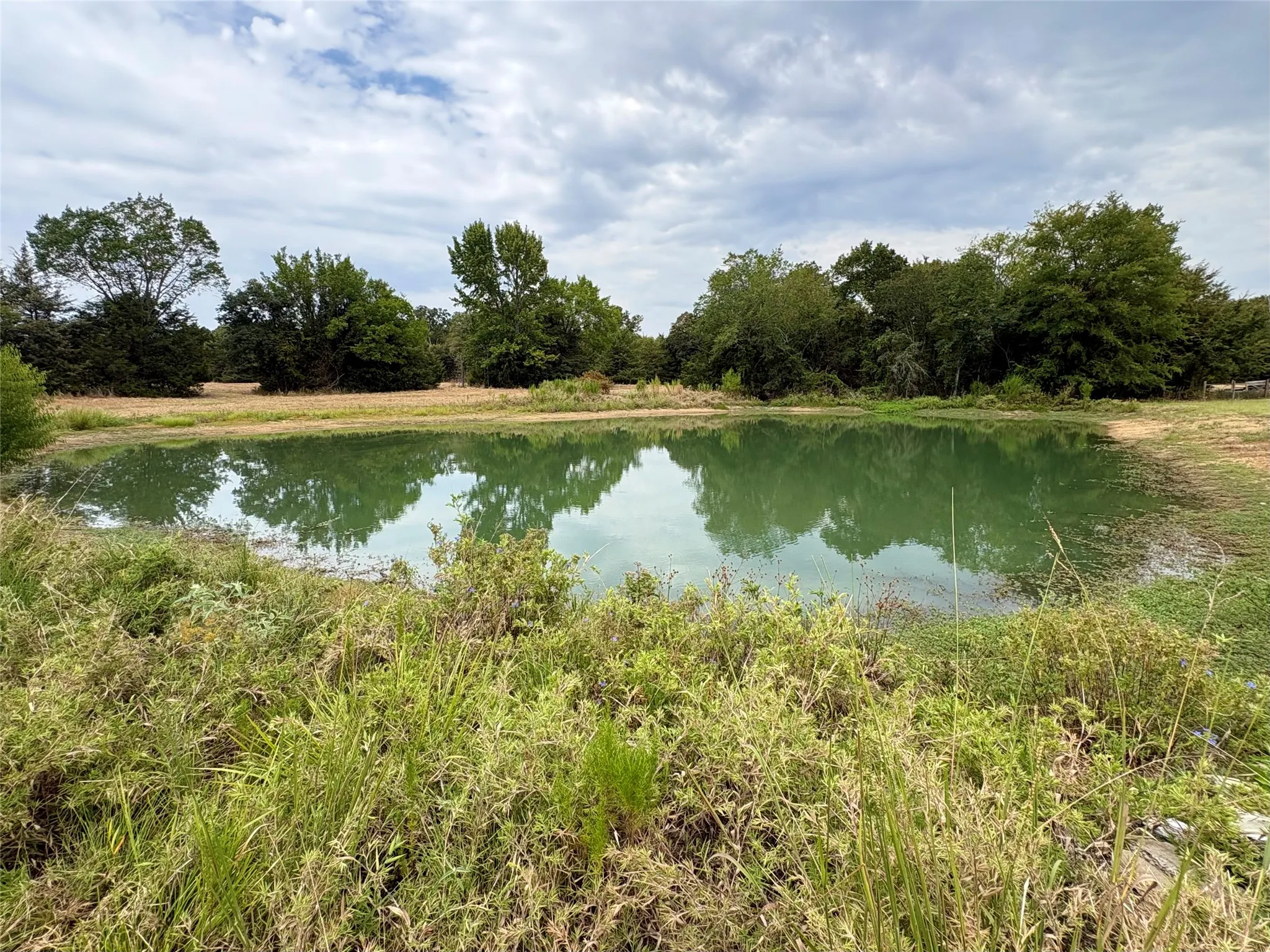 Improved Land For Sale in Hopkins County , 14372 Farm Road 269 S, Pickton, Texas 75471, 0, 0, Garage spaces, 0 Sqft, built in 2024, mls#21353578, Real Estate Agent in Pickton, Homes For Sale in Hopkins county, Homes For Sale in Pickton, Realtor in Pickton Texas, Real Estate Brokerage Independent Realty Texas, Luminita Cordes Realtor