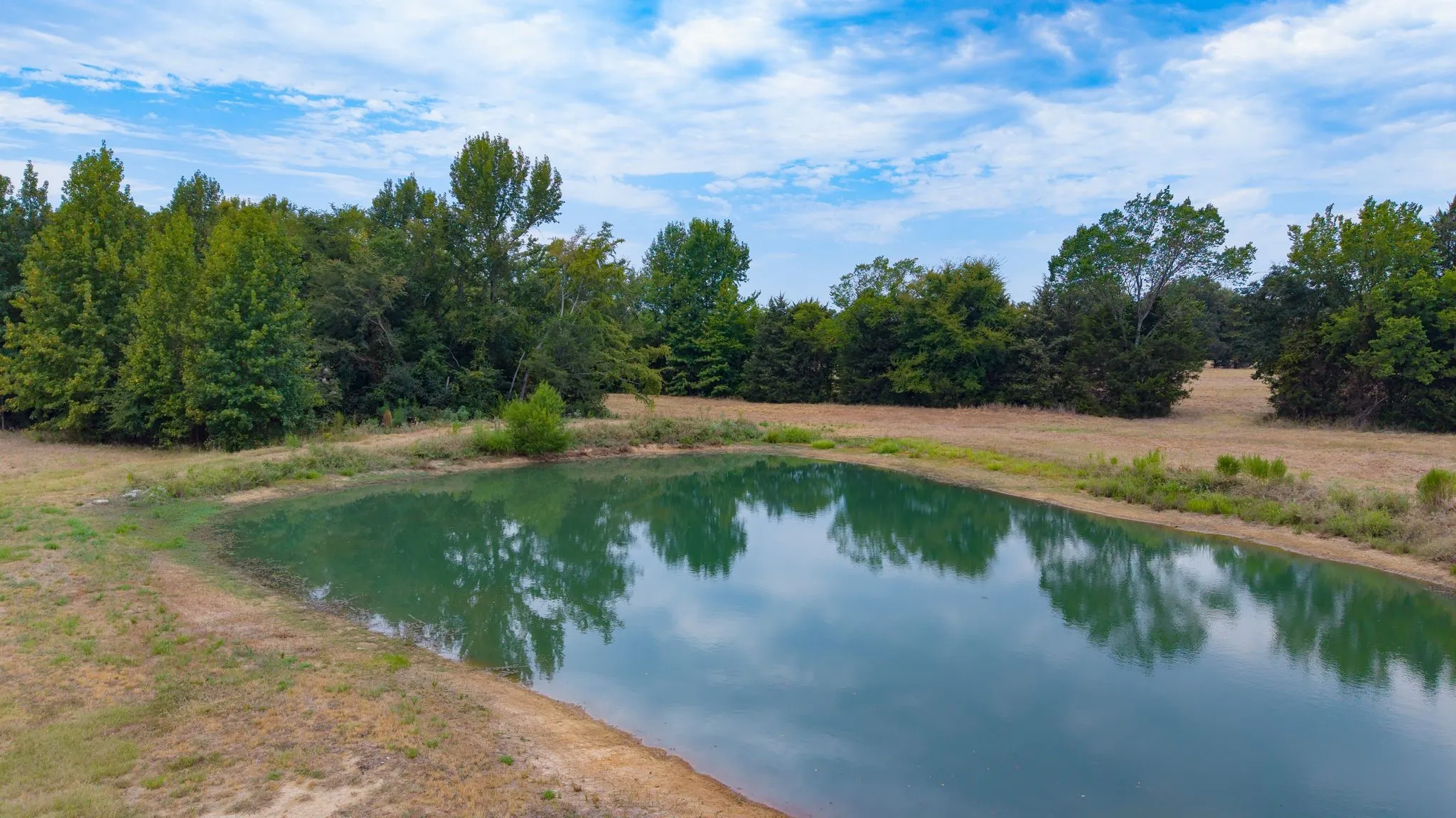 Improved Land For Sale in Hopkins County , 14372 Farm Road 269 S, Pickton, Texas 75471, 0, 0, Garage spaces, 0 Sqft, built in 2024, mls#21353578, Real Estate Agent in Pickton, Homes For Sale in Hopkins county, Homes For Sale in Pickton, Realtor in Pickton Texas, Real Estate Brokerage Independent Realty Texas, Luminita Cordes Realtor