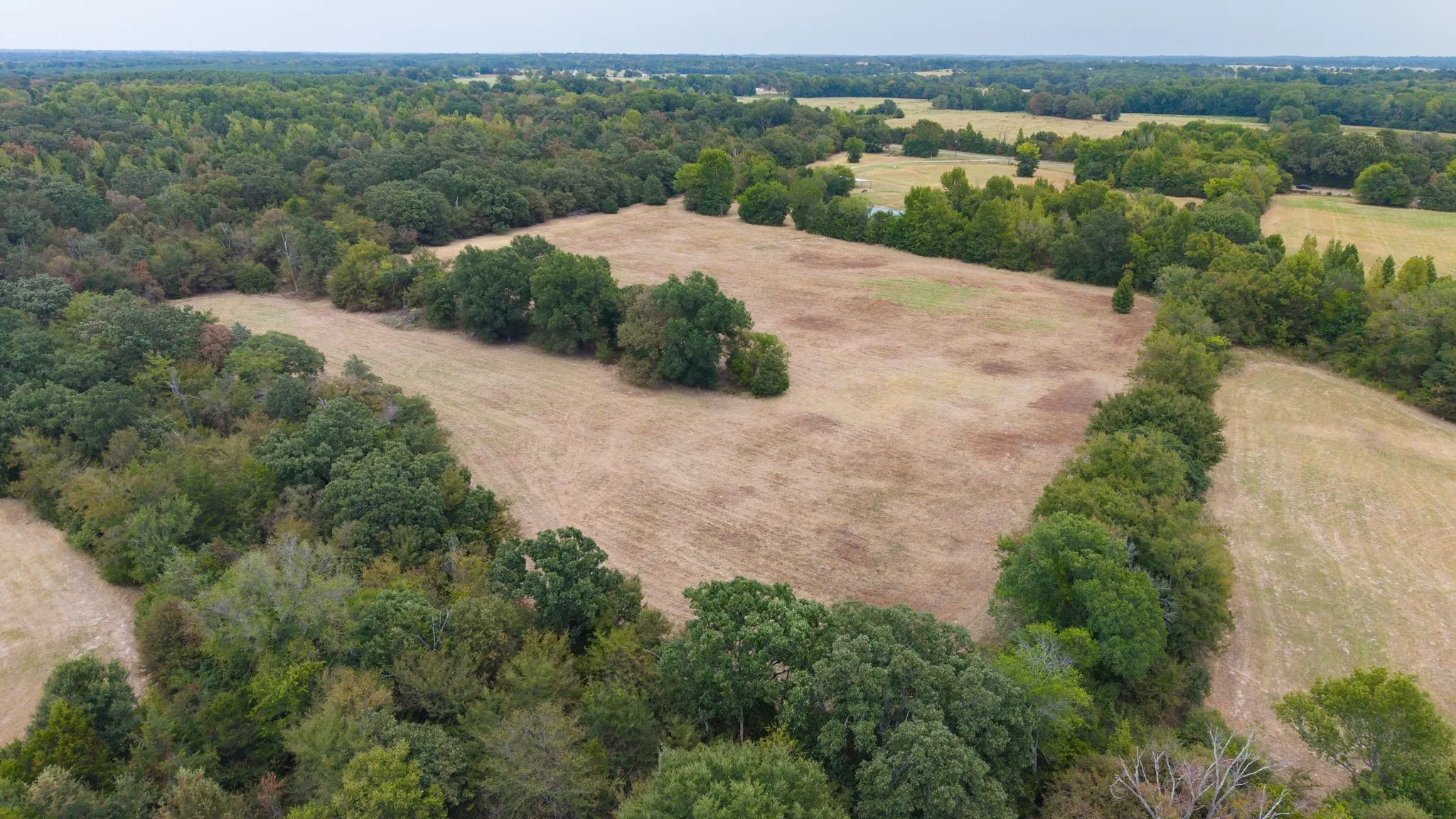 Improved Land For Sale in Hopkins County , 14372 Farm Road 269 S, Pickton, Texas 75471, 0, 0, Garage spaces, 0 Sqft, built in 2024, mls#21353578, Real Estate Agent in Pickton, Homes For Sale in Hopkins county, Homes For Sale in Pickton, Realtor in Pickton Texas, Real Estate Brokerage Independent Realty Texas, Luminita Cordes Realtor