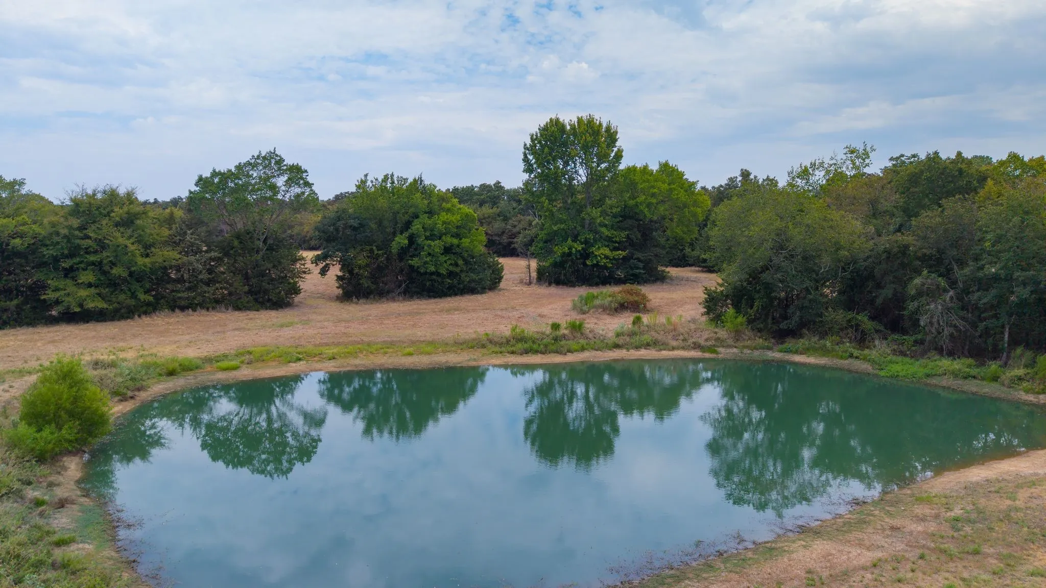 Improved Land For Sale in Hopkins County , 14372 Farm Road 269 S, Pickton, Texas 75471, 0, 0, Garage spaces, 0 Sqft, built in 2024, mls#21353578, Real Estate Agent in Pickton, Homes For Sale in Hopkins county, Homes For Sale in Pickton, Realtor in Pickton Texas, Real Estate Brokerage Independent Realty Texas, Luminita Cordes Realtor