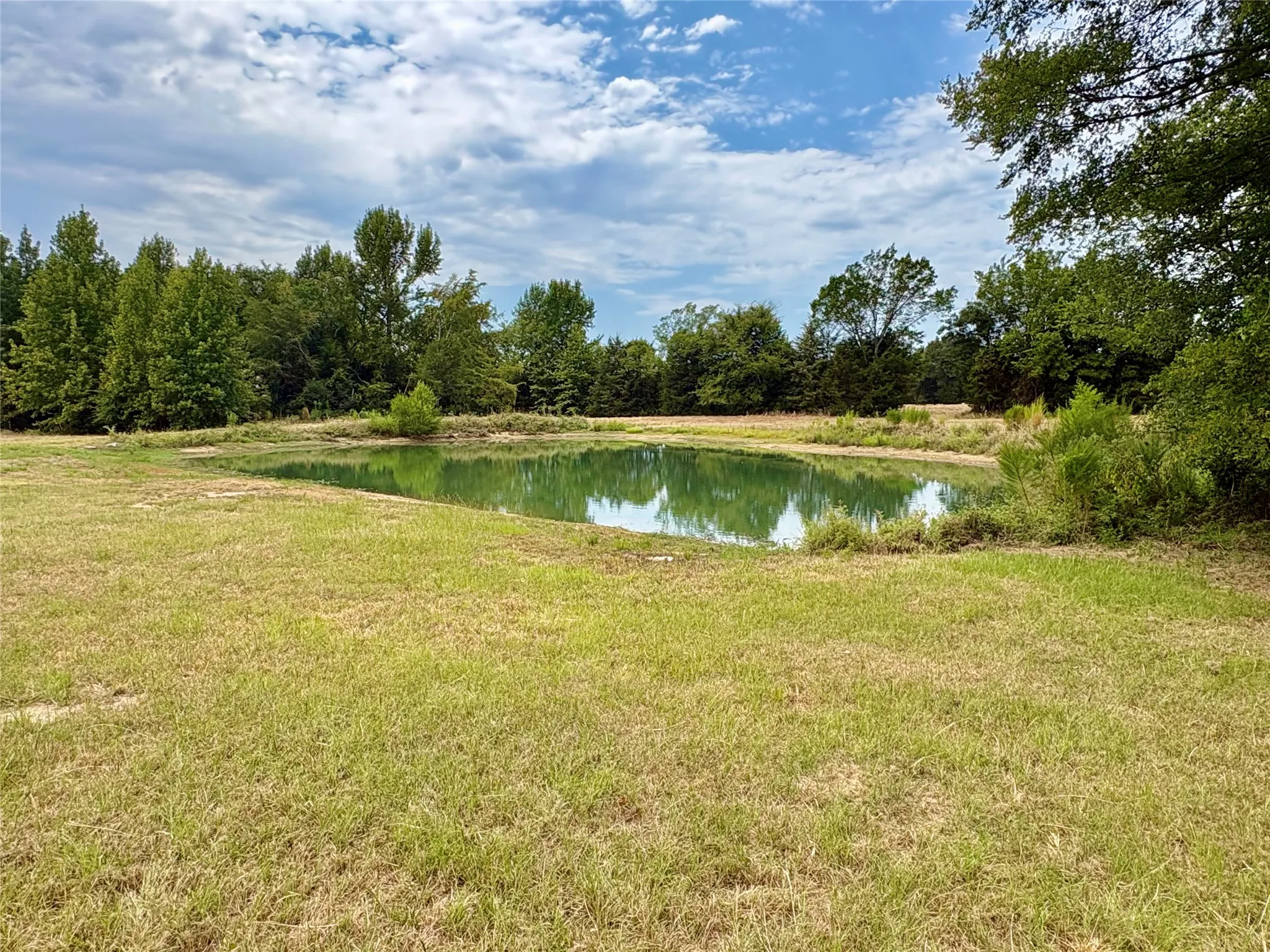 Improved Land For Sale in Hopkins County , 14372 Farm Road 269 S, Pickton, Texas 75471, 0, 0, Garage spaces, 0 Sqft, built in 2024, mls#21353578, Real Estate Agent in Pickton, Homes For Sale in Hopkins county, Homes For Sale in Pickton, Realtor in Pickton Texas, Real Estate Brokerage Independent Realty Texas, Luminita Cordes Realtor