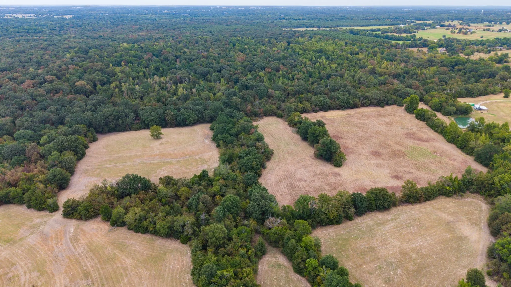 Improved Land For Sale in Hopkins County , 14372 Farm Road 269 S, Pickton, Texas 75471, 0, 0, Garage spaces, 0 Sqft, built in 2024, mls#21353578, Real Estate Agent in Pickton, Homes For Sale in Hopkins county, Homes For Sale in Pickton, Realtor in Pickton Texas, Real Estate Brokerage Independent Realty Texas, Luminita Cordes Realtor