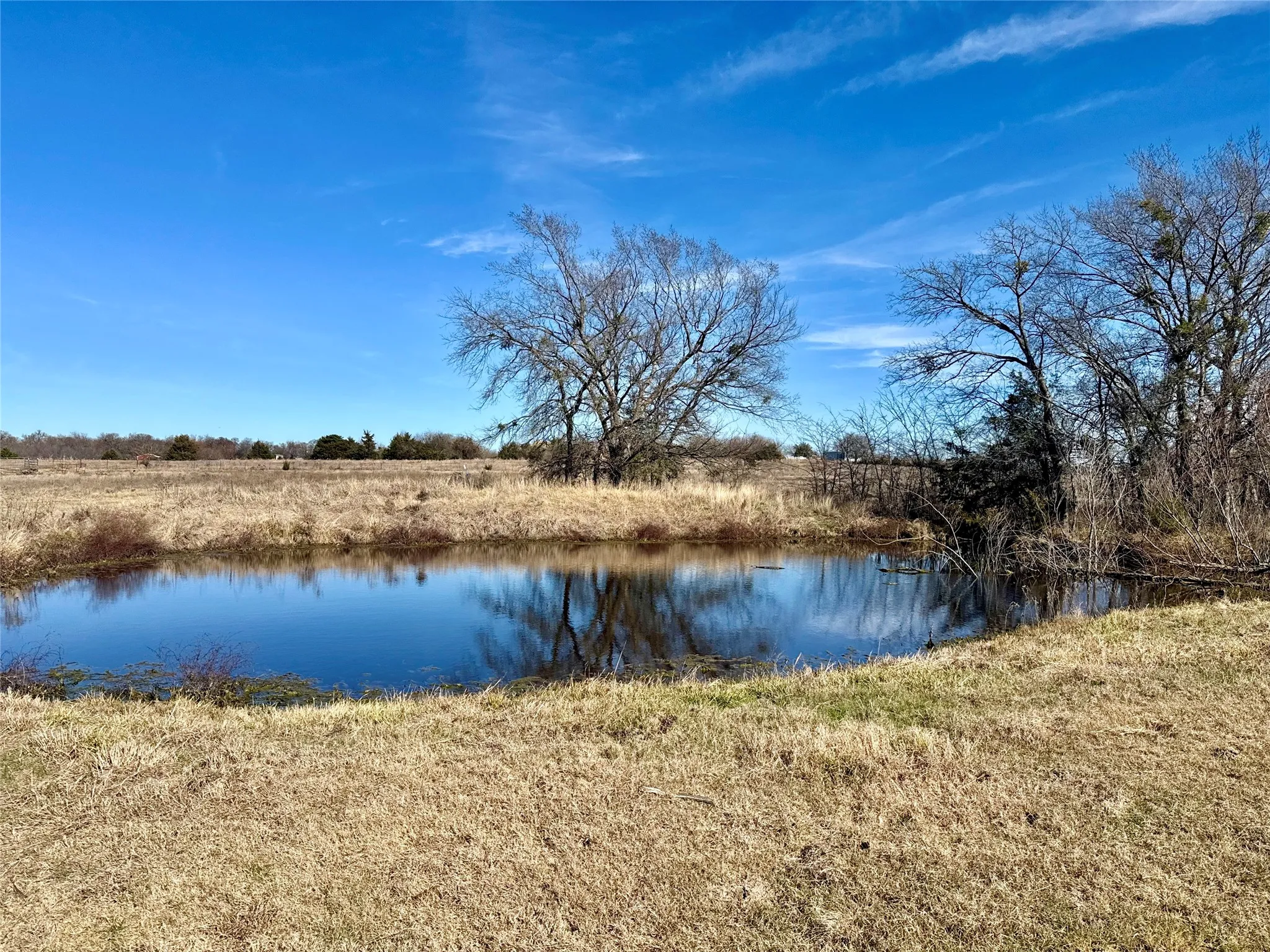 Unimproved Land For Sale in Hunt County , TBD CR 1043, Celeste, Texas 75423, 0, 0, Garage spaces, 0 Sqft, built in 0, mls#21369696, Real Estate Agent in Celeste, Homes For Sale in Hunt county, Homes For Sale in Celeste, Realtor in Celeste Texas, Real Estate Brokerage Independent Realty Texas, Luminita Cordes Realtor