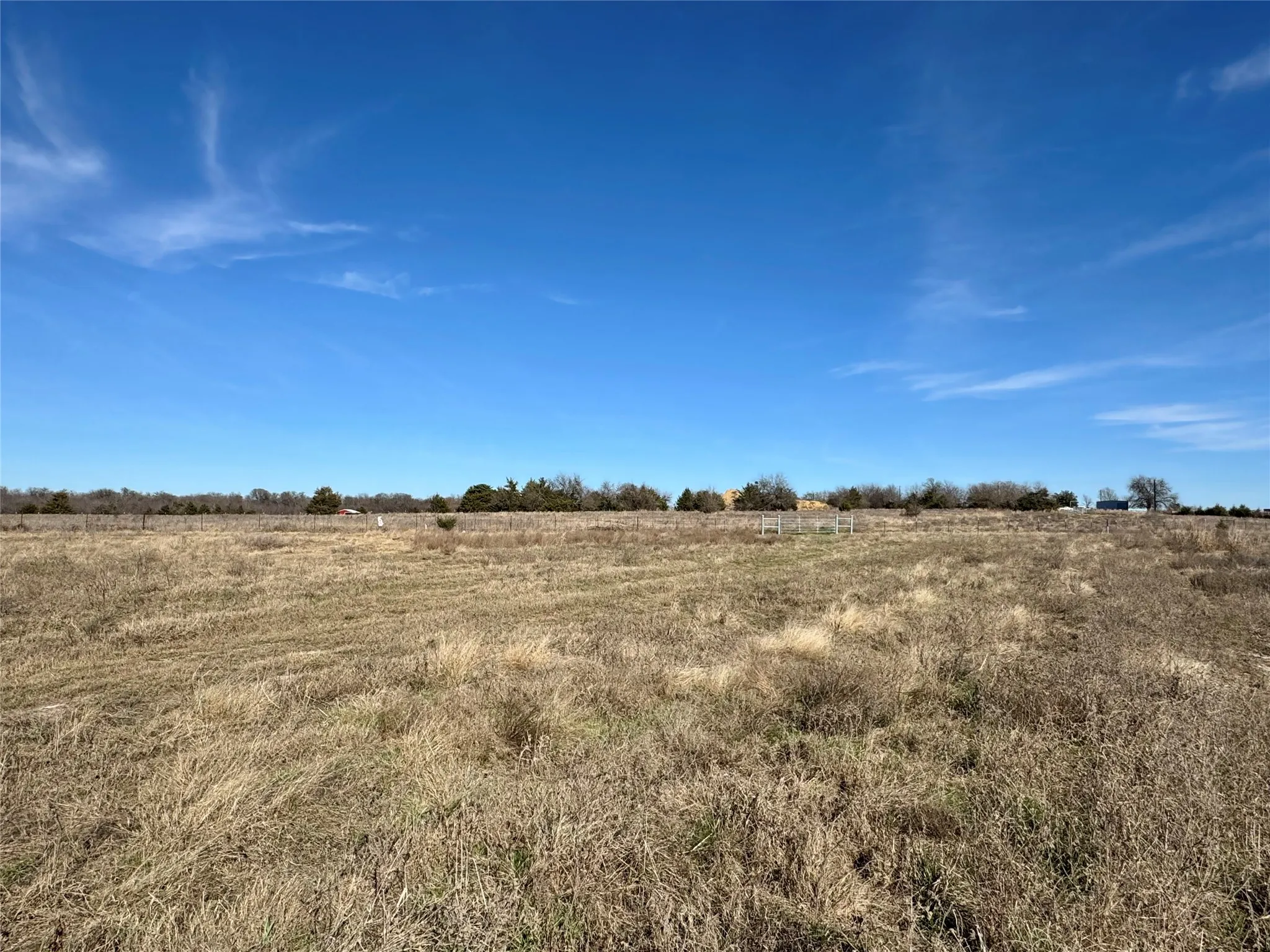 Expansive land parcel featuring natural grasses and distant tree lines