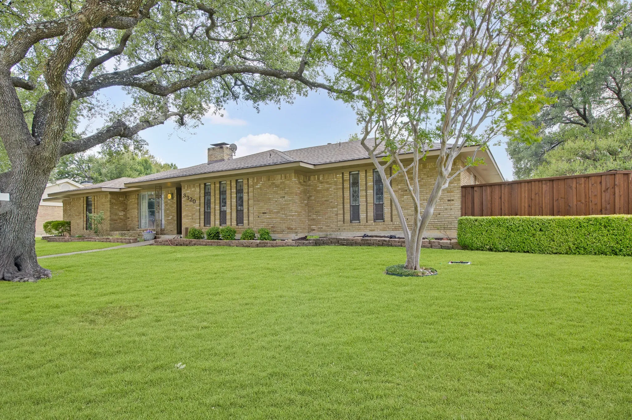 Front Side yard