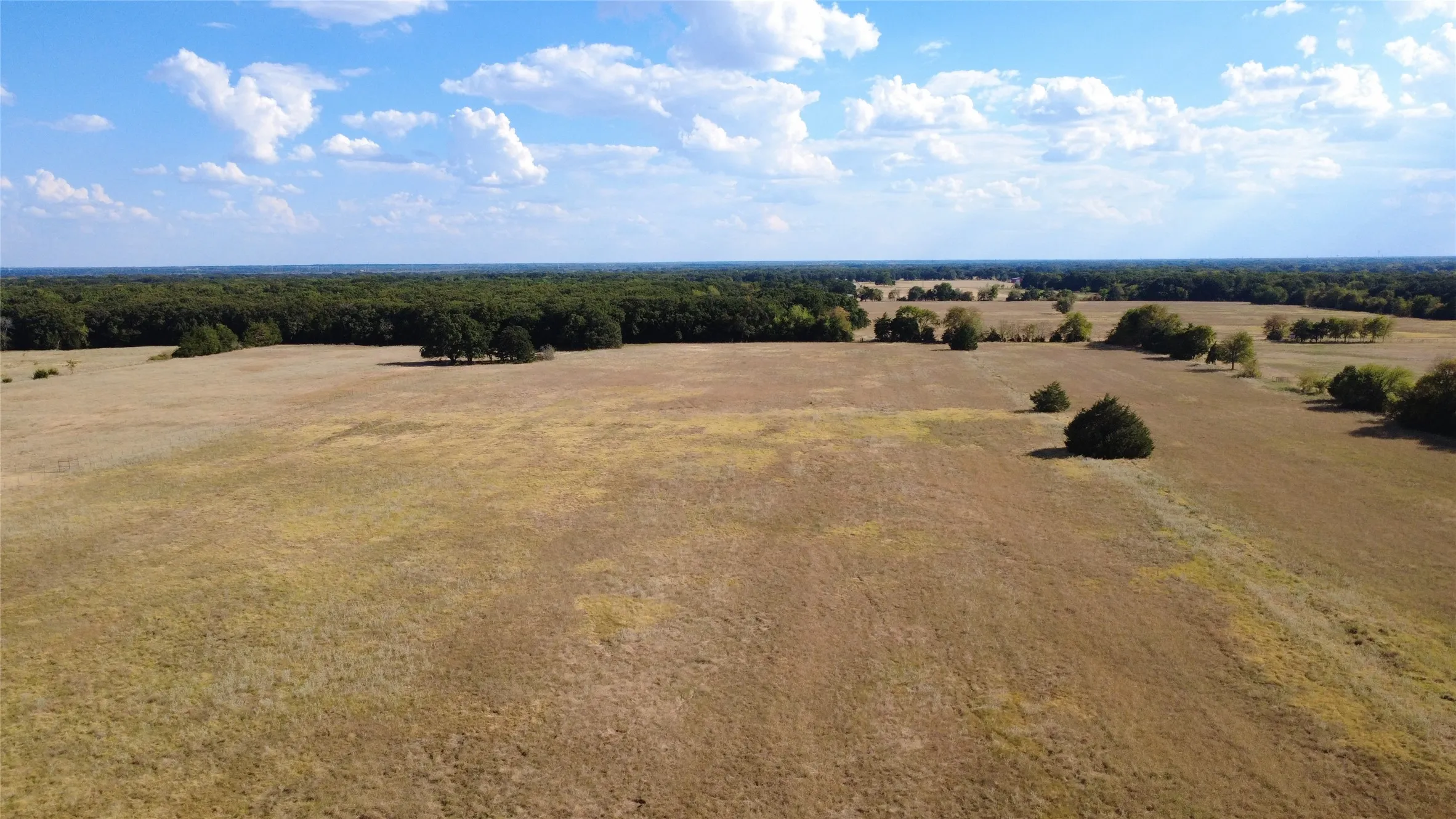 Unimproved Land For Sale in Fannin County , 2600 CR, Bonham, Texas 75447, 0, 0, Garage spaces, 0 Sqft, built in 0, mls#21369722, Real Estate Agent in Bonham, Homes For Sale in Fannin county, Homes For Sale in Bonham, Realtor in Bonham Texas, Real Estate Brokerage Independent Realty Texas, Luminita Cordes Realtor