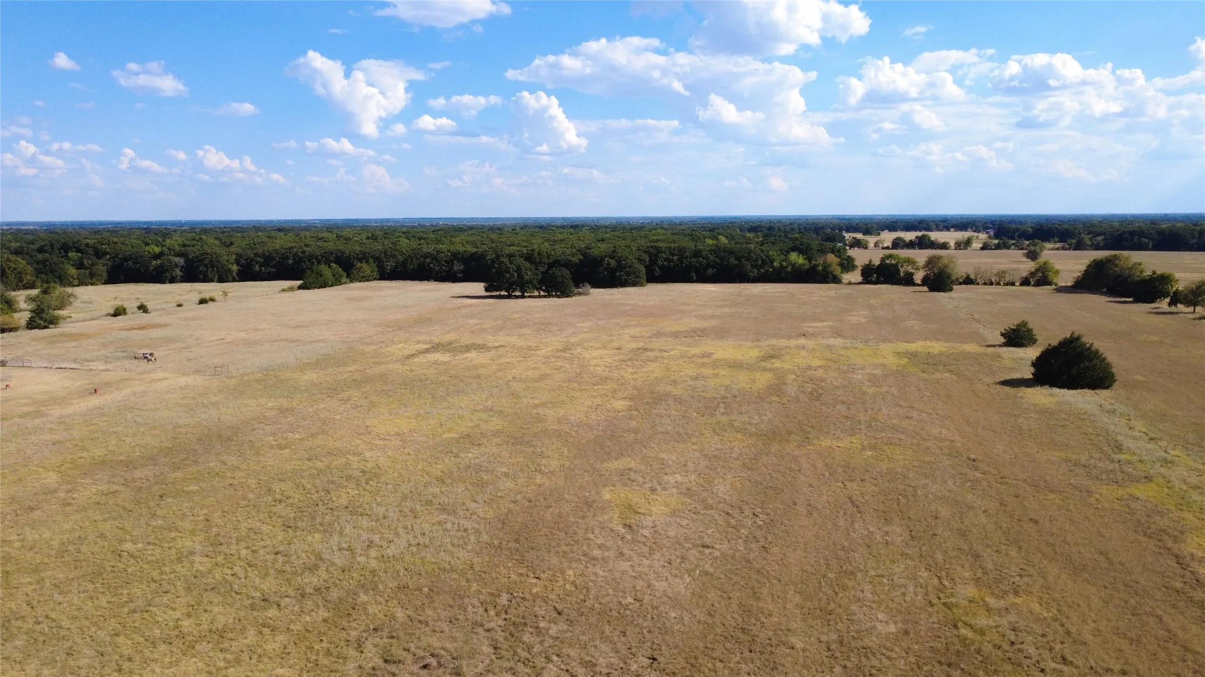 Unimproved Land For Sale in Fannin County , 2600 CR, Bonham, Texas 75447, 0, 0, Garage spaces, 0 Sqft, built in 0, mls#21369722, Real Estate Agent in Bonham, Homes For Sale in Fannin county, Homes For Sale in Bonham, Realtor in Bonham Texas, Real Estate Brokerage Independent Realty Texas, Luminita Cordes Realtor