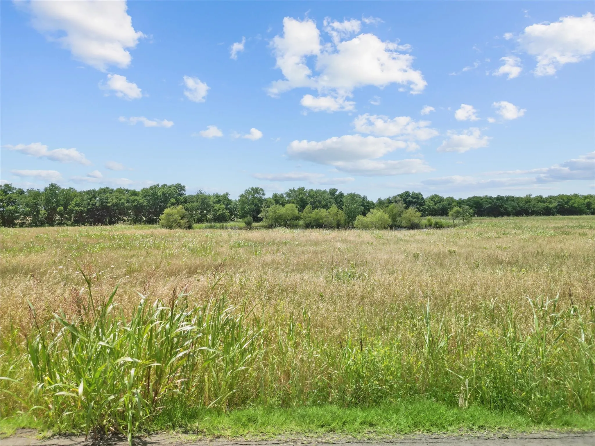 Unimproved Land For Sale in Hunt County , 6500 County Road 1050, Celeste, Texas 75423, 0, 0, Garage spaces, 0 Sqft, built in 0, mls#21367628, Real Estate Agent in Celeste, Homes For Sale in Hunt county, Homes For Sale in Celeste, Realtor in Celeste Texas, Real Estate Brokerage Independent Realty Texas, Luminita Cordes Realtor