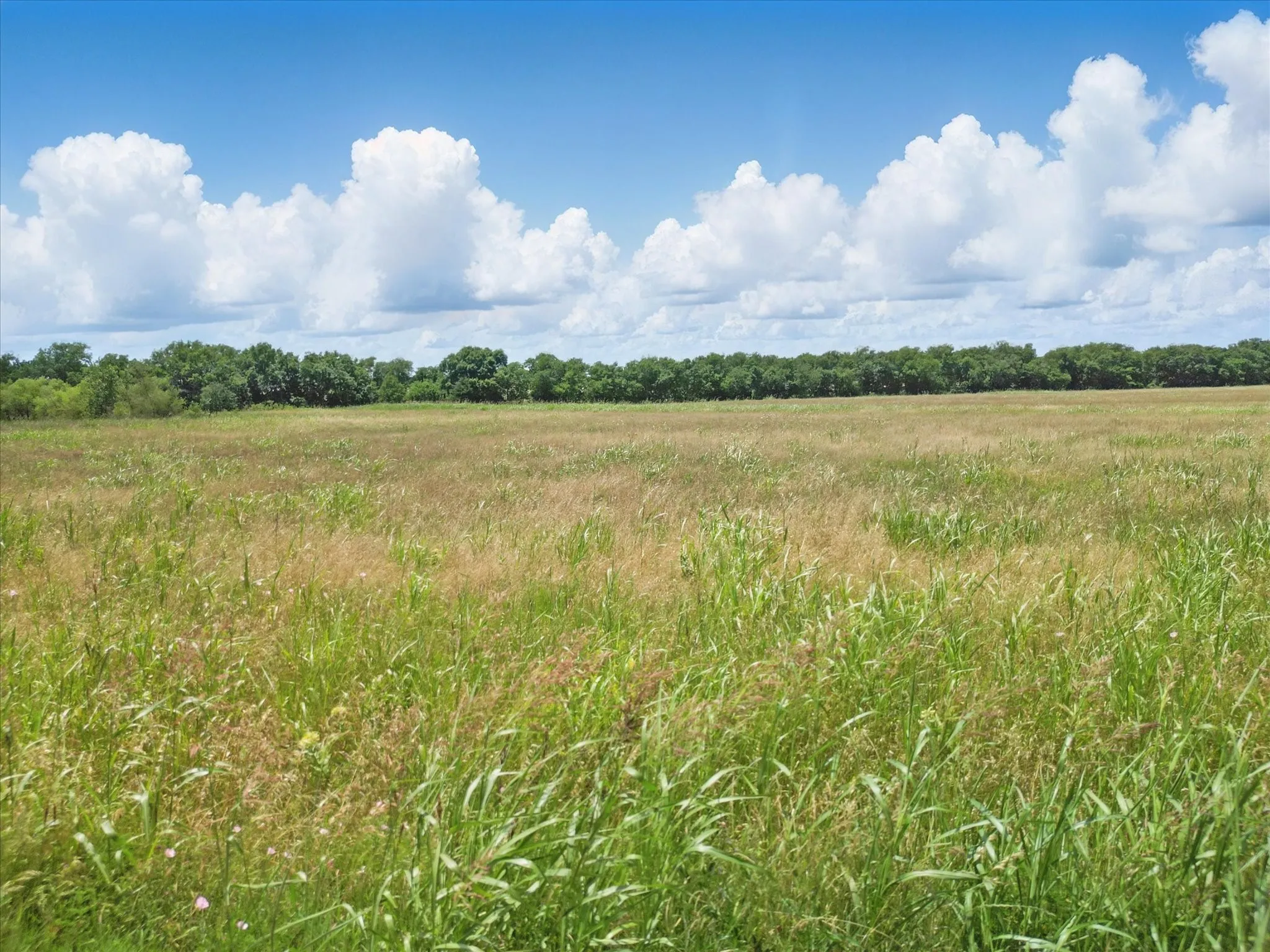Unimproved Land For Sale in Hunt County , 6500 County Road 1050, Celeste, Texas 75423, 0, 0, Garage spaces, 0 Sqft, built in 0, mls#21367628, Real Estate Agent in Celeste, Homes For Sale in Hunt county, Homes For Sale in Celeste, Realtor in Celeste Texas, Real Estate Brokerage Independent Realty Texas, Luminita Cordes Realtor