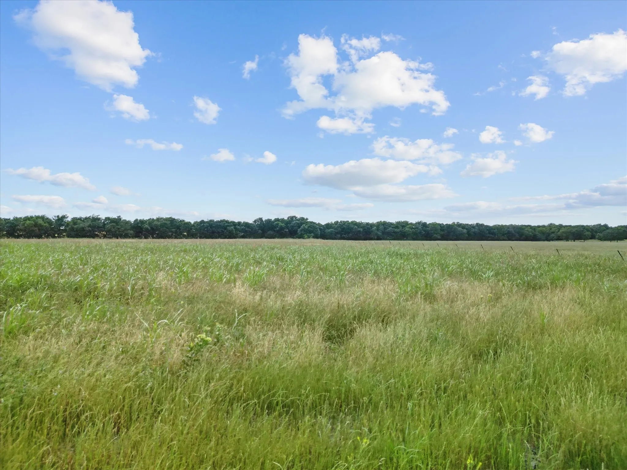 Unimproved Land For Sale in Hunt County , 6500 County Road 1050, Celeste, Texas 75423, 0, 0, Garage spaces, 0 Sqft, built in 0, mls#21367628, Real Estate Agent in Celeste, Homes For Sale in Hunt county, Homes For Sale in Celeste, Realtor in Celeste Texas, Real Estate Brokerage Independent Realty Texas, Luminita Cordes Realtor