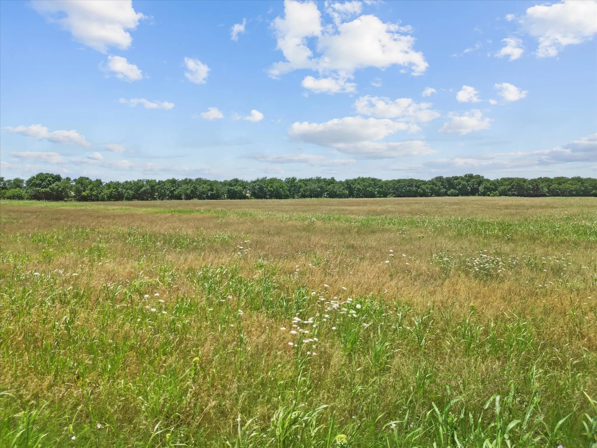 Unimproved Land For Sale in Hunt County , 6500 County Road 1050, Celeste, Texas 75423, 0, 0, Garage spaces, 0 Sqft, built in 0, mls#21367628, Real Estate Agent in Celeste, Homes For Sale in Hunt county, Homes For Sale in Celeste, Realtor in Celeste Texas, Real Estate Brokerage Independent Realty Texas, Luminita Cordes Realtor