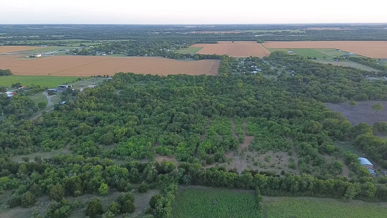 Unimproved Land For Sale in Ellis County , TBD 1 Mc Knight, Ferris, Texas 75125, 0, 0, Garage spaces, 0 Sqft, built in 0, mls#21369719, Real Estate Agent in Ferris, Homes For Sale in Ellis county, Homes For Sale in Ferris, Realtor in Ferris Texas, Real Estate Brokerage Independent Realty Texas, Luminita Cordes Realtor
