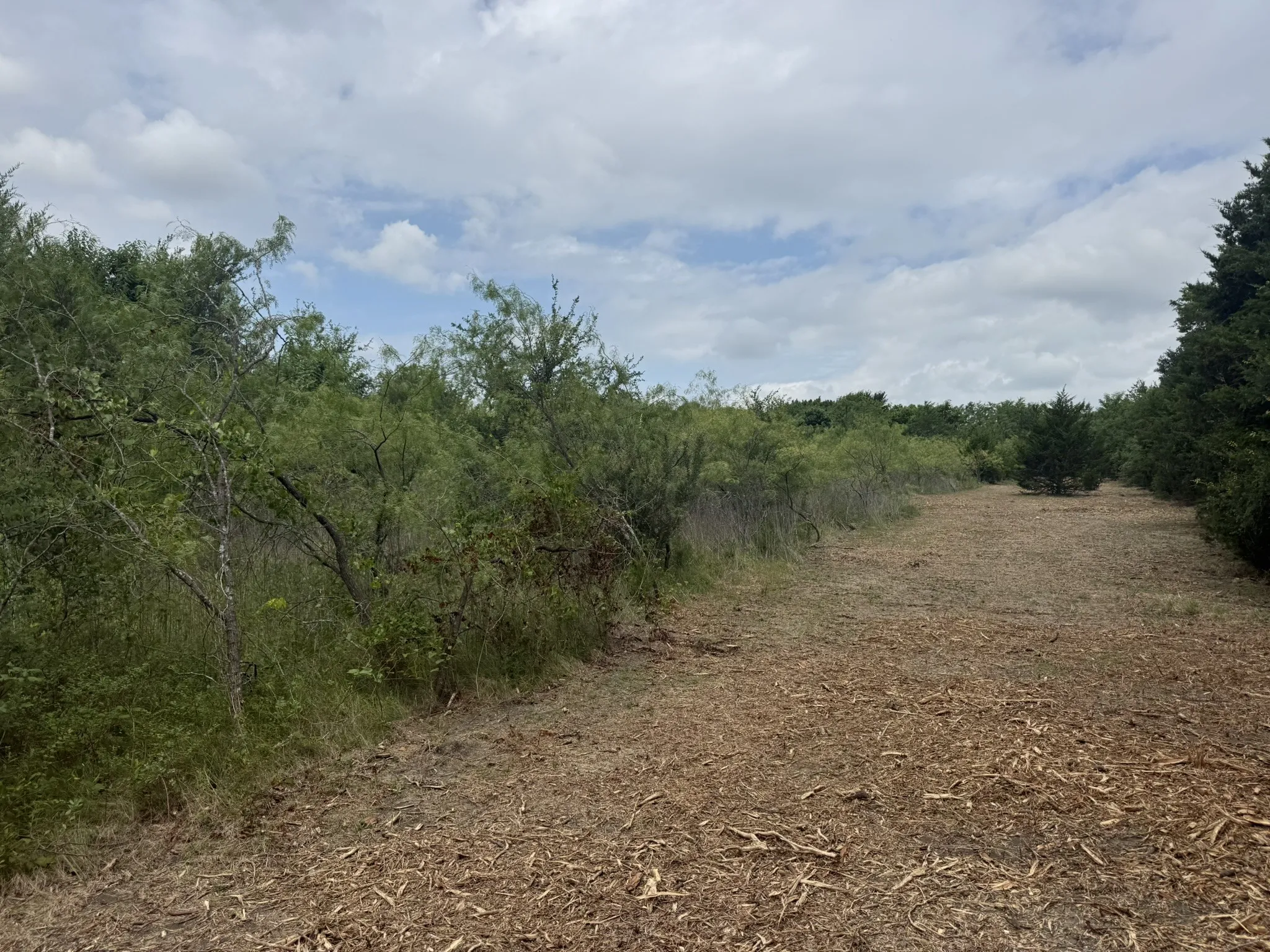 Unimproved Land For Sale in Ellis County , TBD 2 Mc Knight, Ferris, Texas 75125, 0, 0, Garage spaces, 0 Sqft, built in 0, mls#21369736, Real Estate Agent in Ferris, Homes For Sale in Ellis county, Homes For Sale in Ferris, Realtor in Ferris Texas, Real Estate Brokerage Independent Realty Texas, Luminita Cordes Realtor