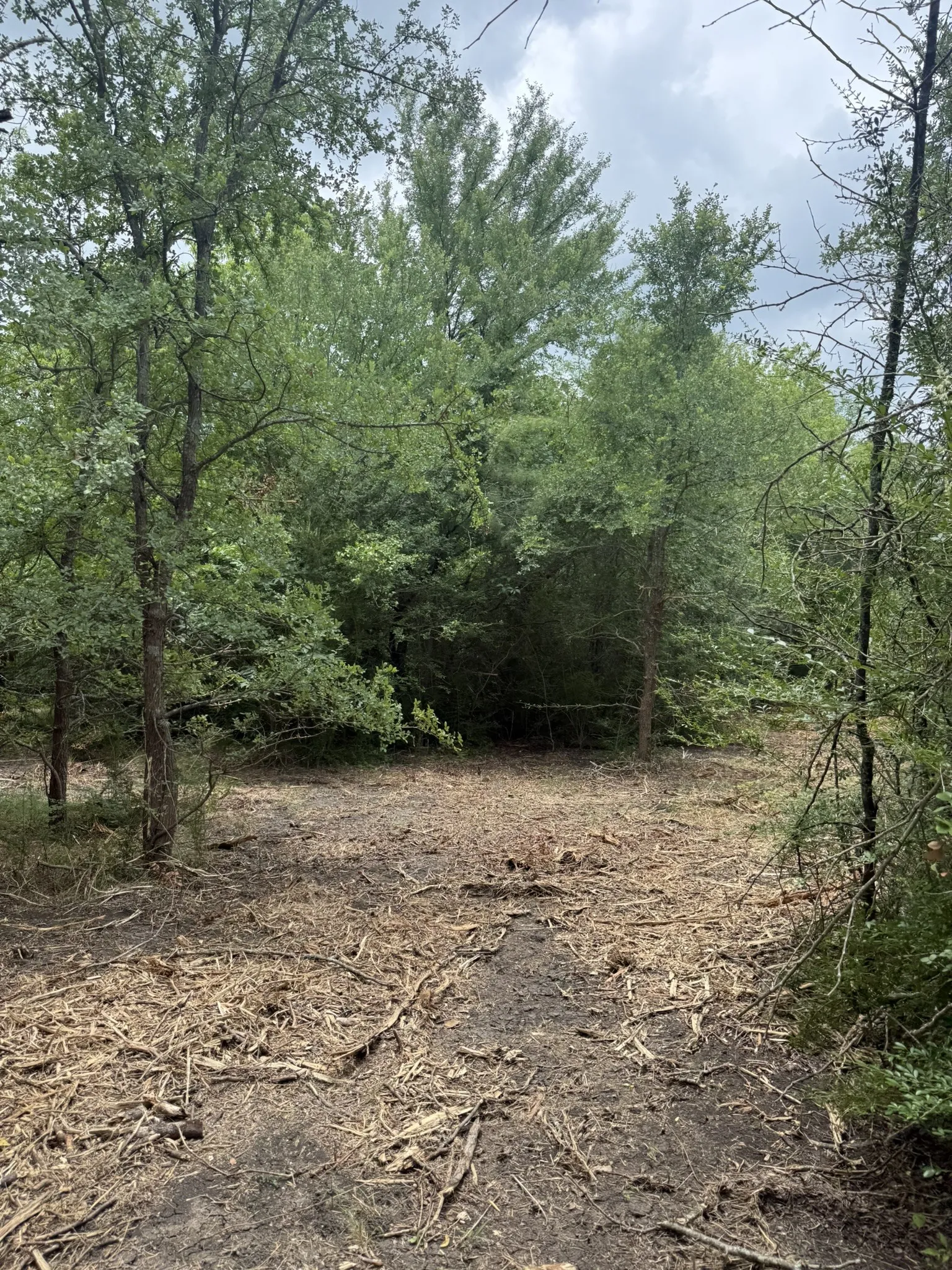 Unimproved Land For Sale in Ellis County , TBD 2 Mc Knight, Ferris, Texas 75125, 0, 0, Garage spaces, 0 Sqft, built in 0, mls#21369736, Real Estate Agent in Ferris, Homes For Sale in Ellis county, Homes For Sale in Ferris, Realtor in Ferris Texas, Real Estate Brokerage Independent Realty Texas, Luminita Cordes Realtor