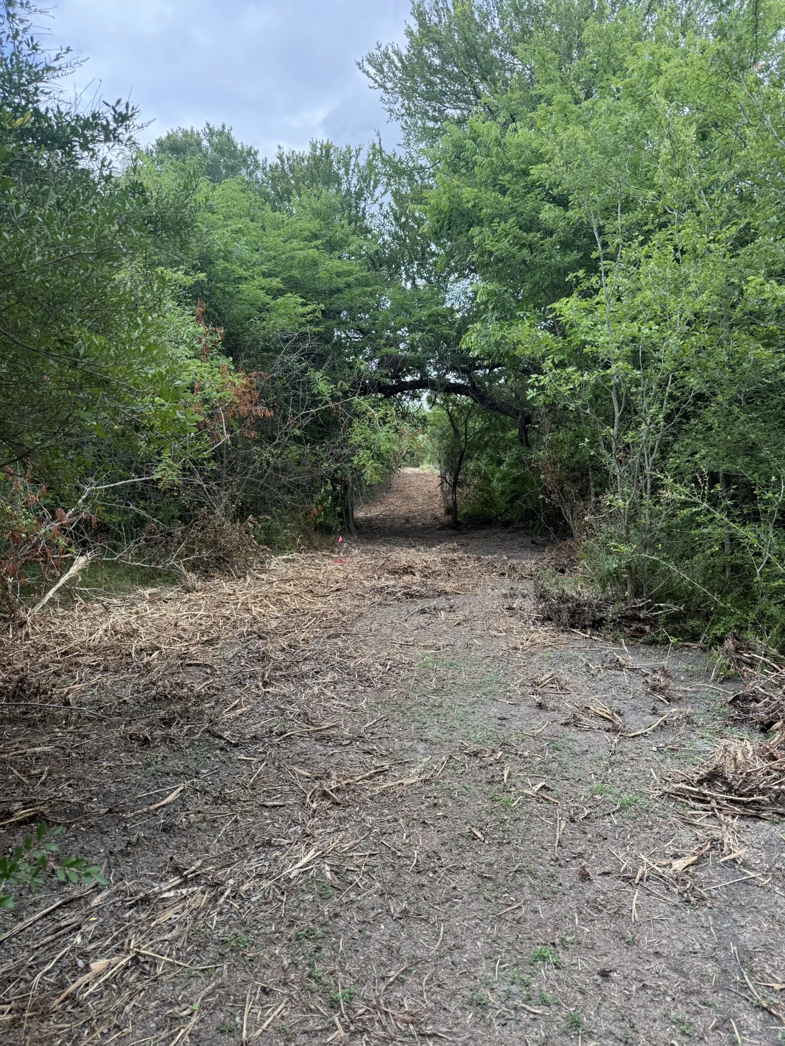 Unimproved Land For Sale in Ellis County , TBD 2 Mc Knight, Ferris, Texas 75125, 0, 0, Garage spaces, 0 Sqft, built in 0, mls#21369736, Real Estate Agent in Ferris, Homes For Sale in Ellis county, Homes For Sale in Ferris, Realtor in Ferris Texas, Real Estate Brokerage Independent Realty Texas, Luminita Cordes Realtor