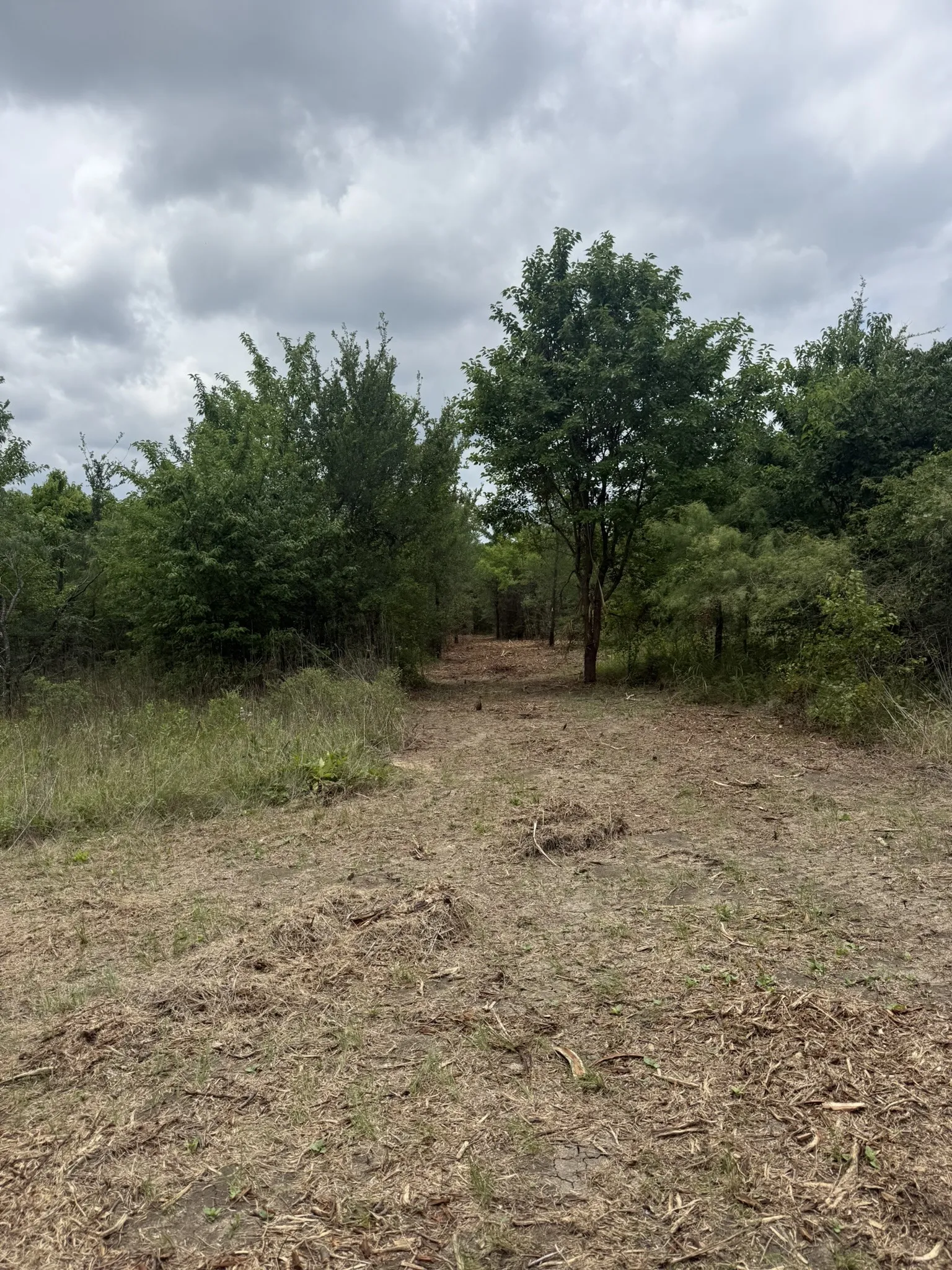 Unimproved Land For Sale in Ellis County , TBD 3 Mc Knight, Ferris, Texas 75125, 0, 0, Garage spaces, 0 Sqft, built in 0, mls#21369744, Real Estate Agent in Ferris, Homes For Sale in Ellis county, Homes For Sale in Ferris, Realtor in Ferris Texas, Real Estate Brokerage Independent Realty Texas, Luminita Cordes Realtor