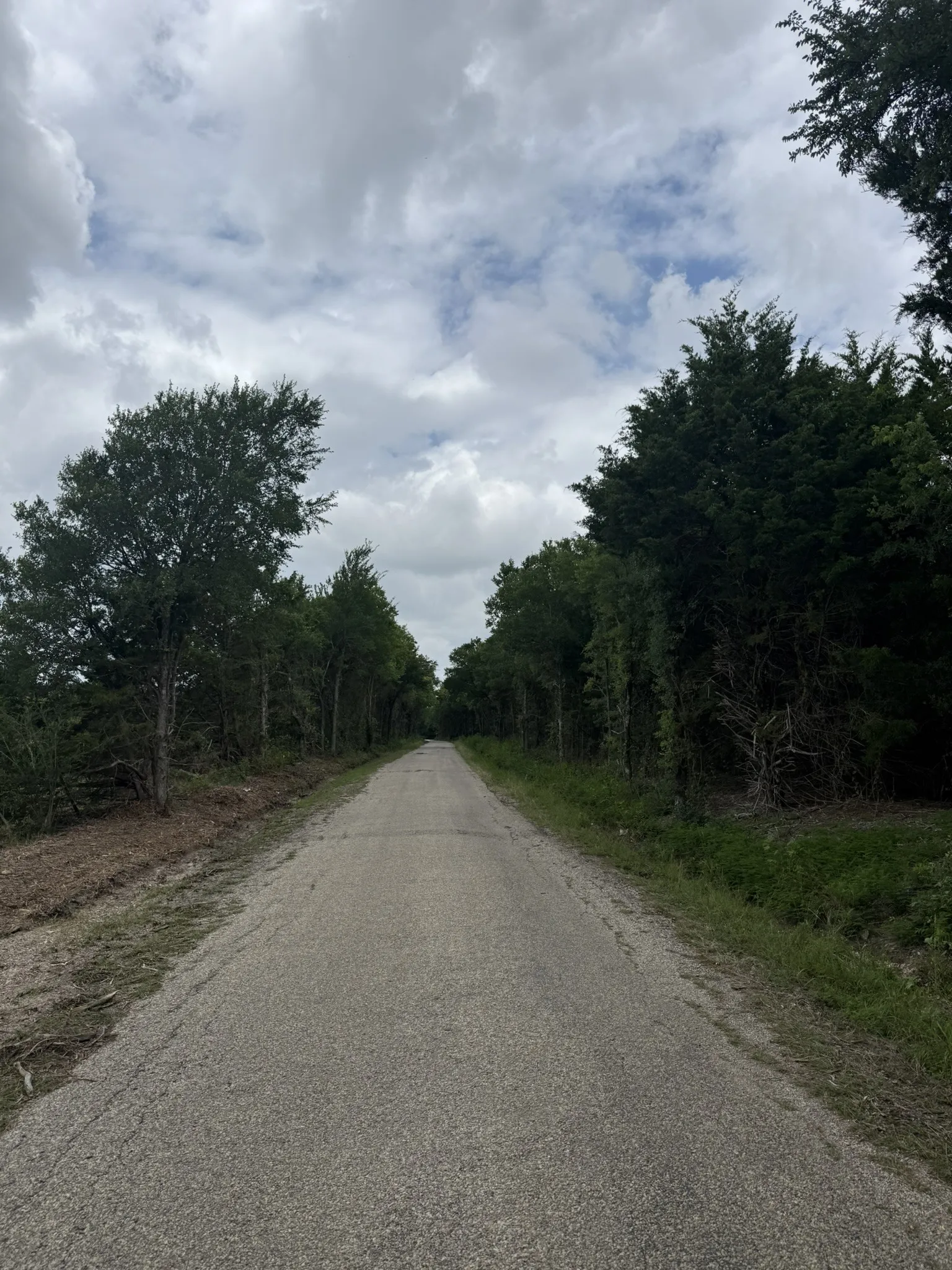 Unimproved Land For Sale in Ellis County , TBD 3 Mc Knight, Ferris, Texas 75125, 0, 0, Garage spaces, 0 Sqft, built in 0, mls#21369744, Real Estate Agent in Ferris, Homes For Sale in Ellis county, Homes For Sale in Ferris, Realtor in Ferris Texas, Real Estate Brokerage Independent Realty Texas, Luminita Cordes Realtor