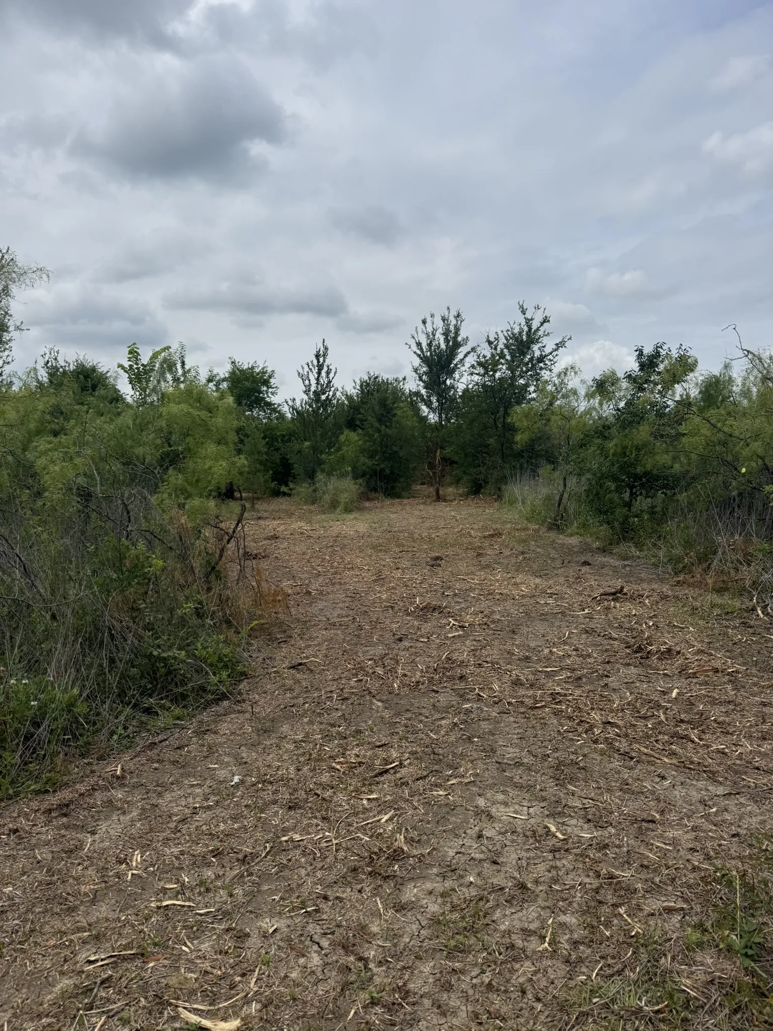 Unimproved Land For Sale in Ellis County , TBD 3 Mc Knight, Ferris, Texas 75125, 0, 0, Garage spaces, 0 Sqft, built in 0, mls#21369744, Real Estate Agent in Ferris, Homes For Sale in Ellis county, Homes For Sale in Ferris, Realtor in Ferris Texas, Real Estate Brokerage Independent Realty Texas, Luminita Cordes Realtor