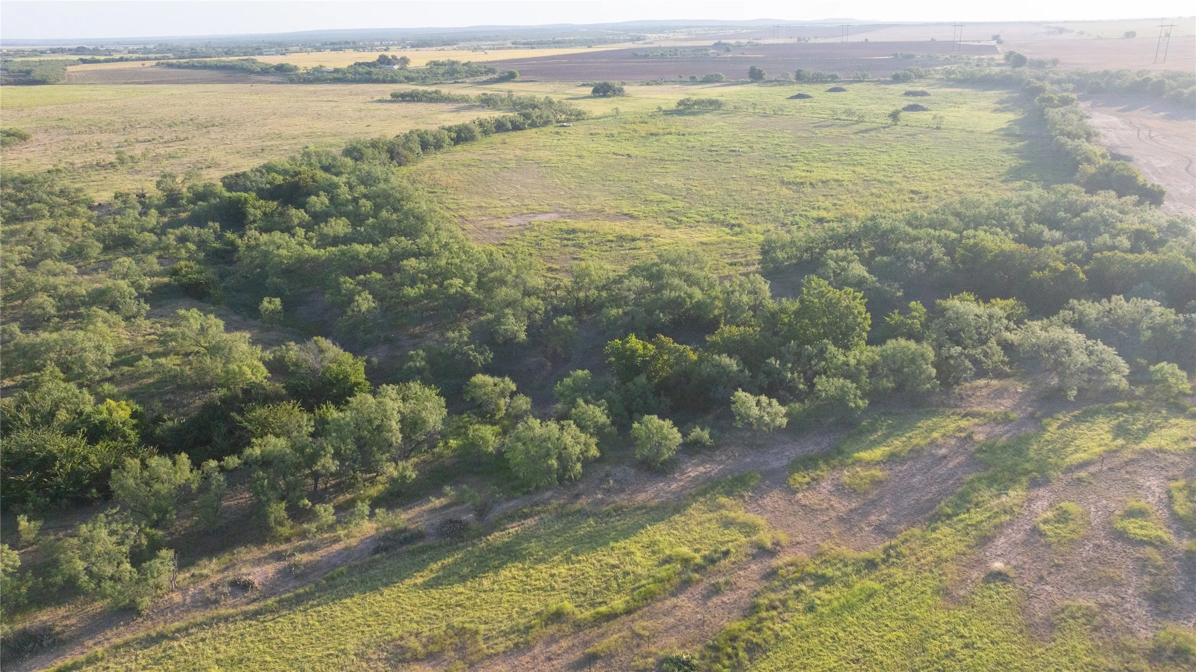 Ranch For Sale in Runnels County , 817 S HWY 153, Wingate, Texas 79566, 0, 0, Garage spaces, 0 Sqft, built in 0, mls#21369262, Real Estate Agent in Wingate, Homes For Sale in Runnels county, Homes For Sale in Wingate, Realtor in Wingate Texas, Real Estate Brokerage Independent Realty Texas, Luminita Cordes Realtor