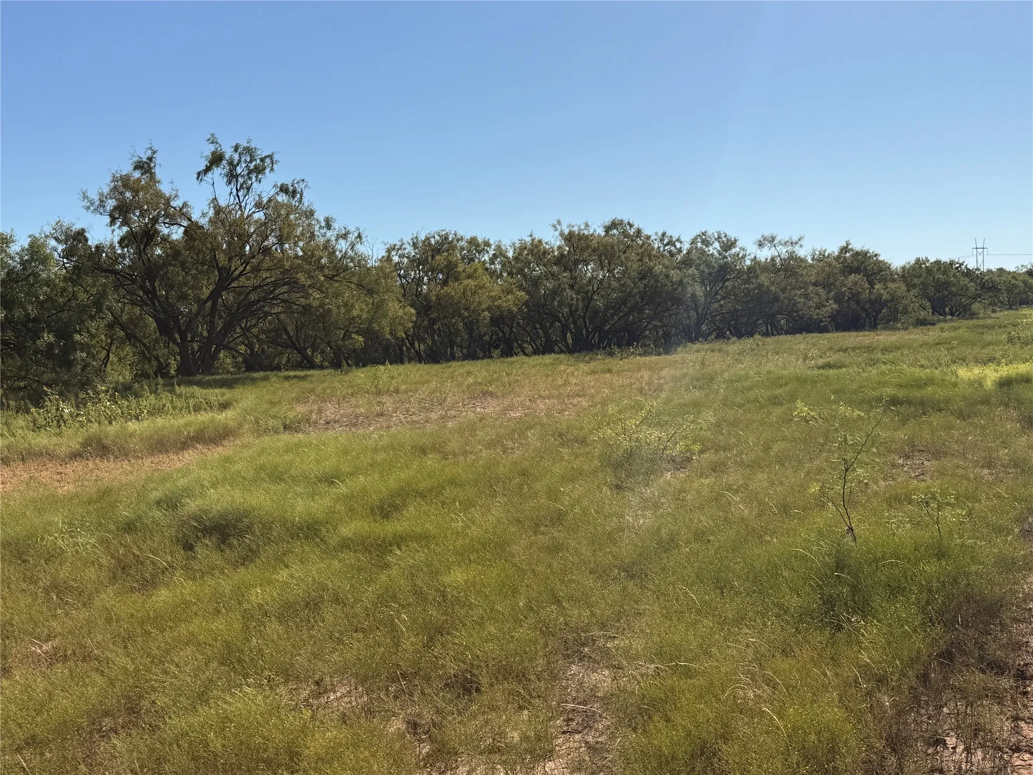 Ranch For Sale in Runnels County , 817 S HWY 153, Wingate, Texas 79566, 0, 0, Garage spaces, 0 Sqft, built in 0, mls#21369262, Real Estate Agent in Wingate, Homes For Sale in Runnels county, Homes For Sale in Wingate, Realtor in Wingate Texas, Real Estate Brokerage Independent Realty Texas, Luminita Cordes Realtor