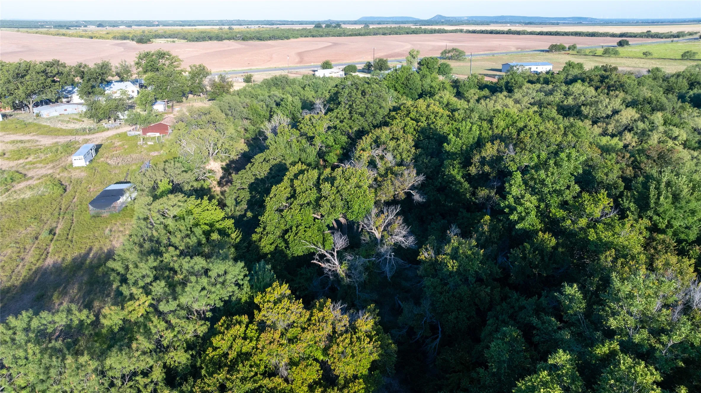 Ranch For Sale in Runnels County , 817 S HWY 153, Wingate, Texas 79566, 0, 0, Garage spaces, 0 Sqft, built in 0, mls#21369262, Real Estate Agent in Wingate, Homes For Sale in Runnels county, Homes For Sale in Wingate, Realtor in Wingate Texas, Real Estate Brokerage Independent Realty Texas, Luminita Cordes Realtor