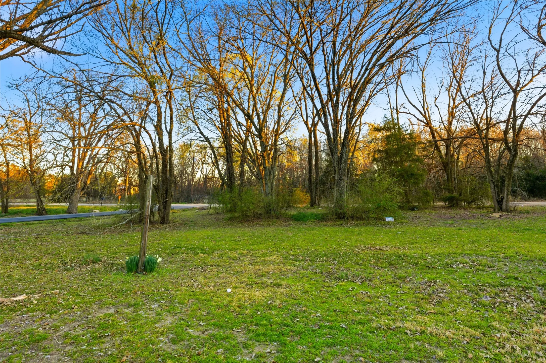 Unimproved Land For Sale in Delta County , TBD Se 1st, Cooper, Texas 75432, 0, 0, Garage spaces, 0 Sqft, built in 0, mls#21369747, Real Estate Agent in Cooper, Homes For Sale in Delta county, Homes For Sale in Cooper, Realtor in Cooper Texas, Real Estate Brokerage Independent Realty Texas, Luminita Cordes Realtor