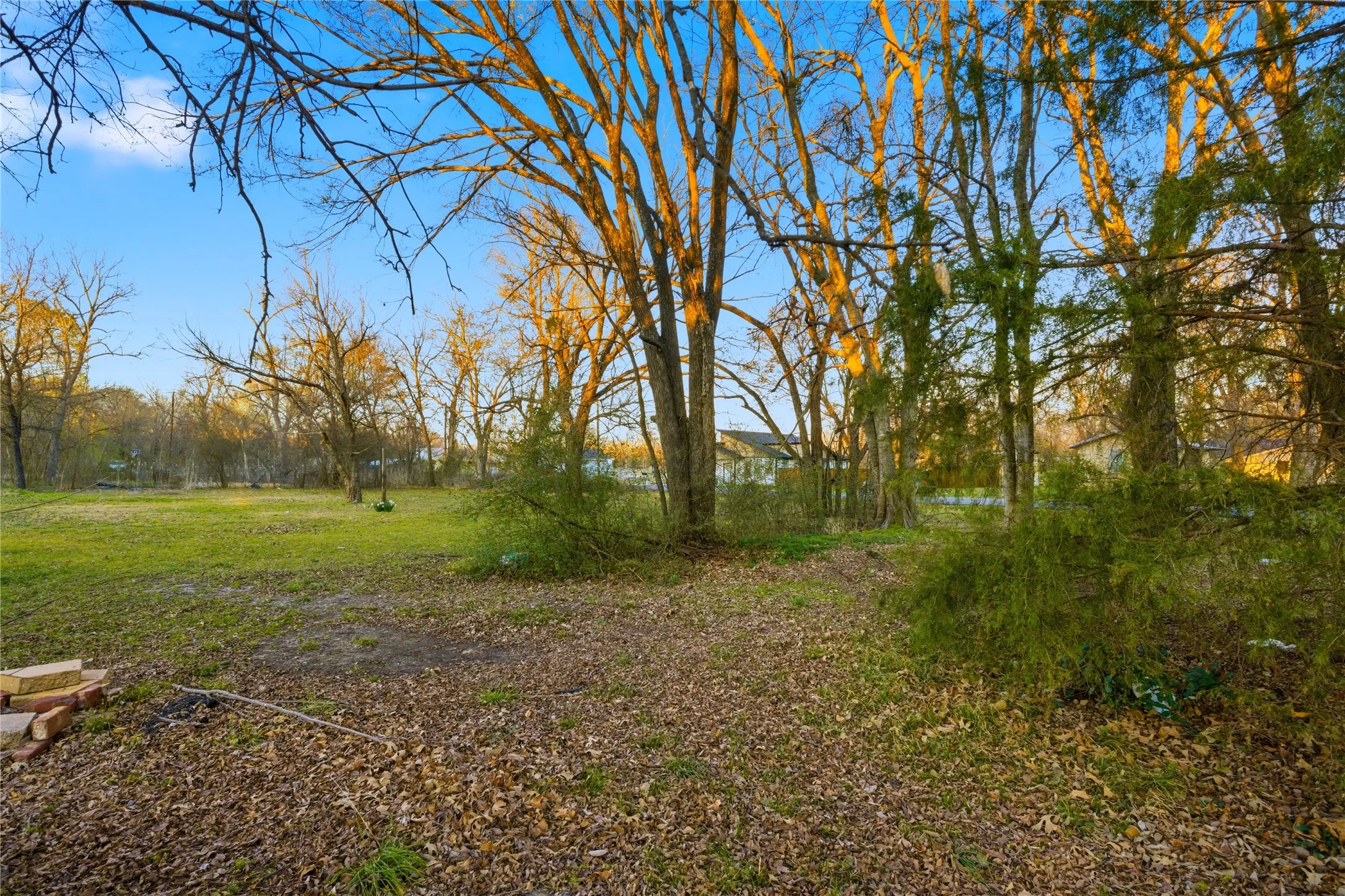 Unimproved Land For Sale in Delta County , TBD Se 1st, Cooper, Texas 75432, 0, 0, Garage spaces, 0 Sqft, built in 0, mls#21369747, Real Estate Agent in Cooper, Homes For Sale in Delta county, Homes For Sale in Cooper, Realtor in Cooper Texas, Real Estate Brokerage Independent Realty Texas, Luminita Cordes Realtor