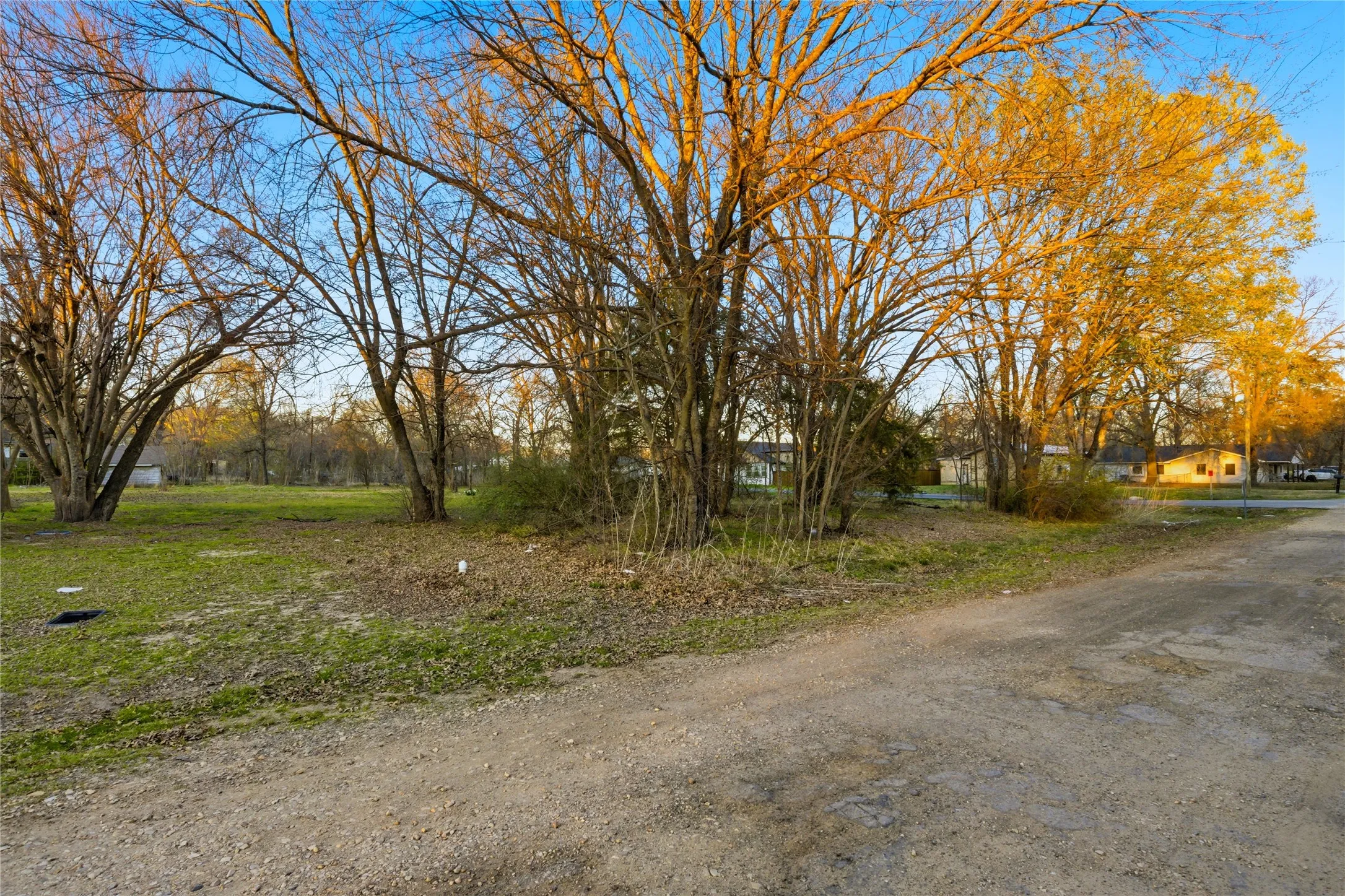 Unimproved Land For Sale in Delta County , TBD Se 1st, Cooper, Texas 75432, 0, 0, Garage spaces, 0 Sqft, built in 0, mls#21369747, Real Estate Agent in Cooper, Homes For Sale in Delta county, Homes For Sale in Cooper, Realtor in Cooper Texas, Real Estate Brokerage Independent Realty Texas, Luminita Cordes Realtor