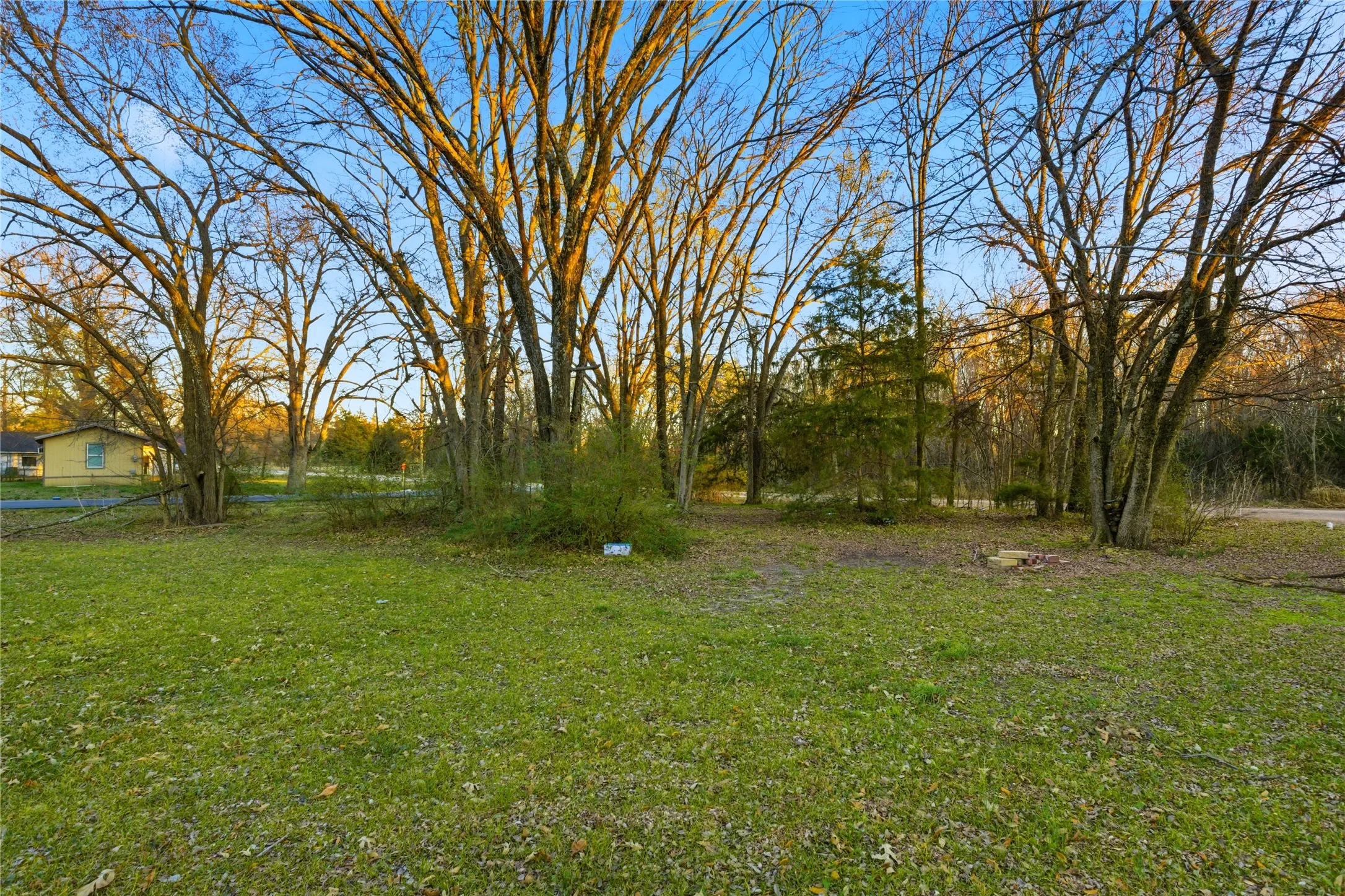 Unimproved Land For Sale in Delta County , TBD Se 1st, Cooper, Texas 75432, 0, 0, Garage spaces, 0 Sqft, built in 0, mls#21369747, Real Estate Agent in Cooper, Homes For Sale in Delta county, Homes For Sale in Cooper, Realtor in Cooper Texas, Real Estate Brokerage Independent Realty Texas, Luminita Cordes Realtor