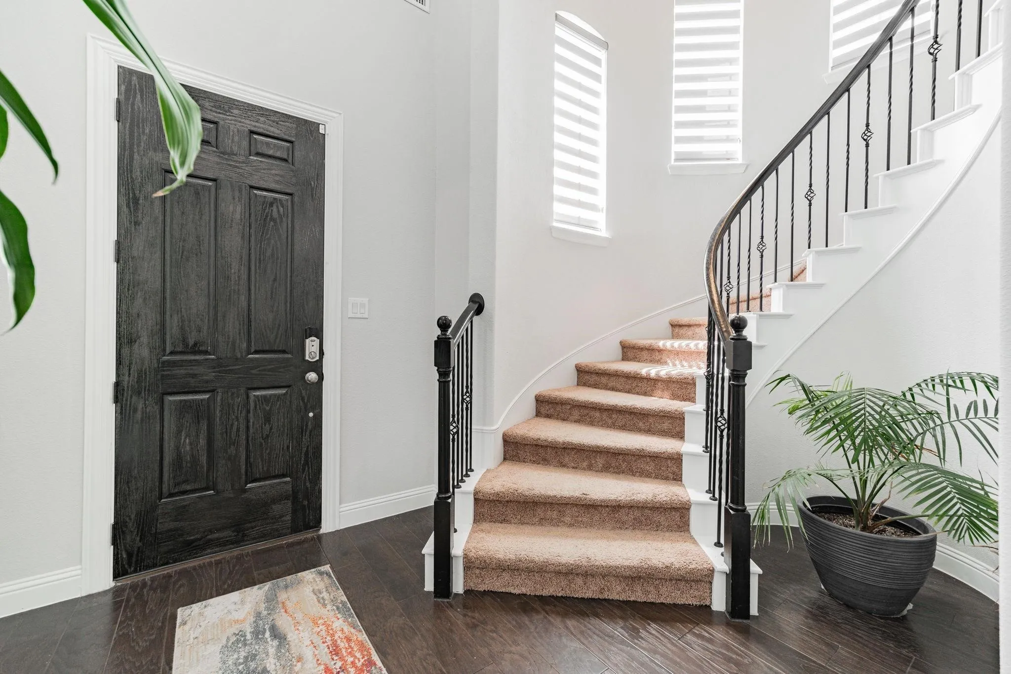 Dark wood-finish flooring, a paneled entry door, a carpeted curved staircase, and an ornate metal baluster