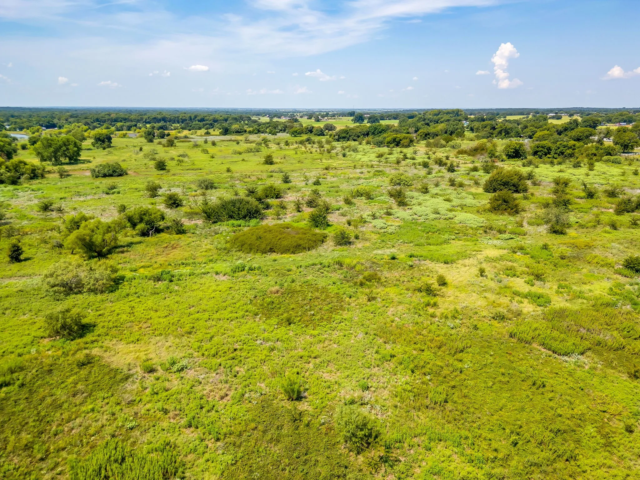 Unimproved Land For Sale in Johnson County , TBD County Road 307, Grandview, Texas 76050, 0, 0, Garage spaces, 0 Sqft, built in 0, mls#21369792, Real Estate Agent in Grandview, Homes For Sale in Johnson county, Homes For Sale in Grandview, Realtor in Grandview Texas, Real Estate Brokerage Independent Realty Texas, Luminita Cordes Realtor