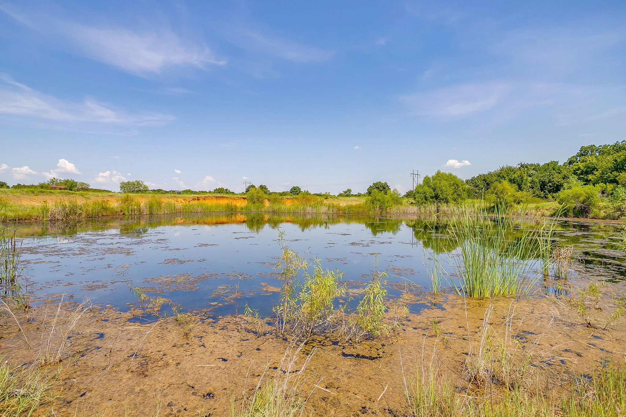 Unimproved Land For Sale in Johnson County , TBD County Road 307, Grandview, Texas 76050, 0, 0, Garage spaces, 0 Sqft, built in 0, mls#21369792, Real Estate Agent in Grandview, Homes For Sale in Johnson county, Homes For Sale in Grandview, Realtor in Grandview Texas, Real Estate Brokerage Independent Realty Texas, Luminita Cordes Realtor